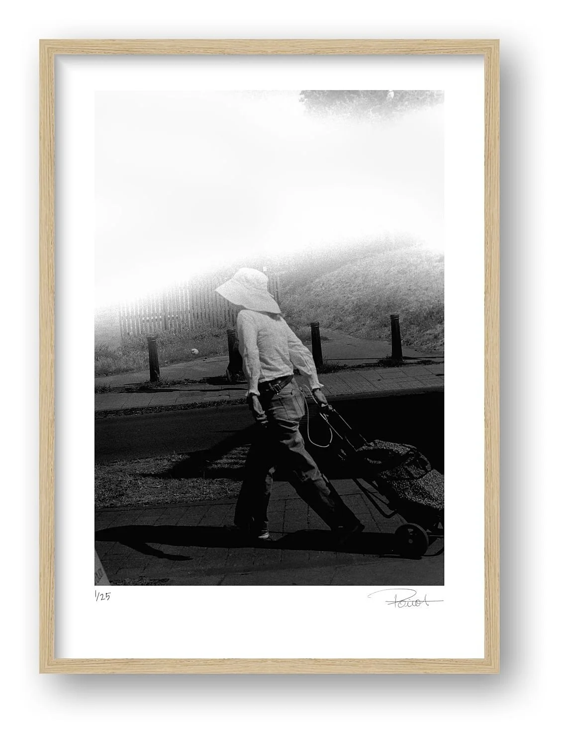 preview_b5043f89.jpg