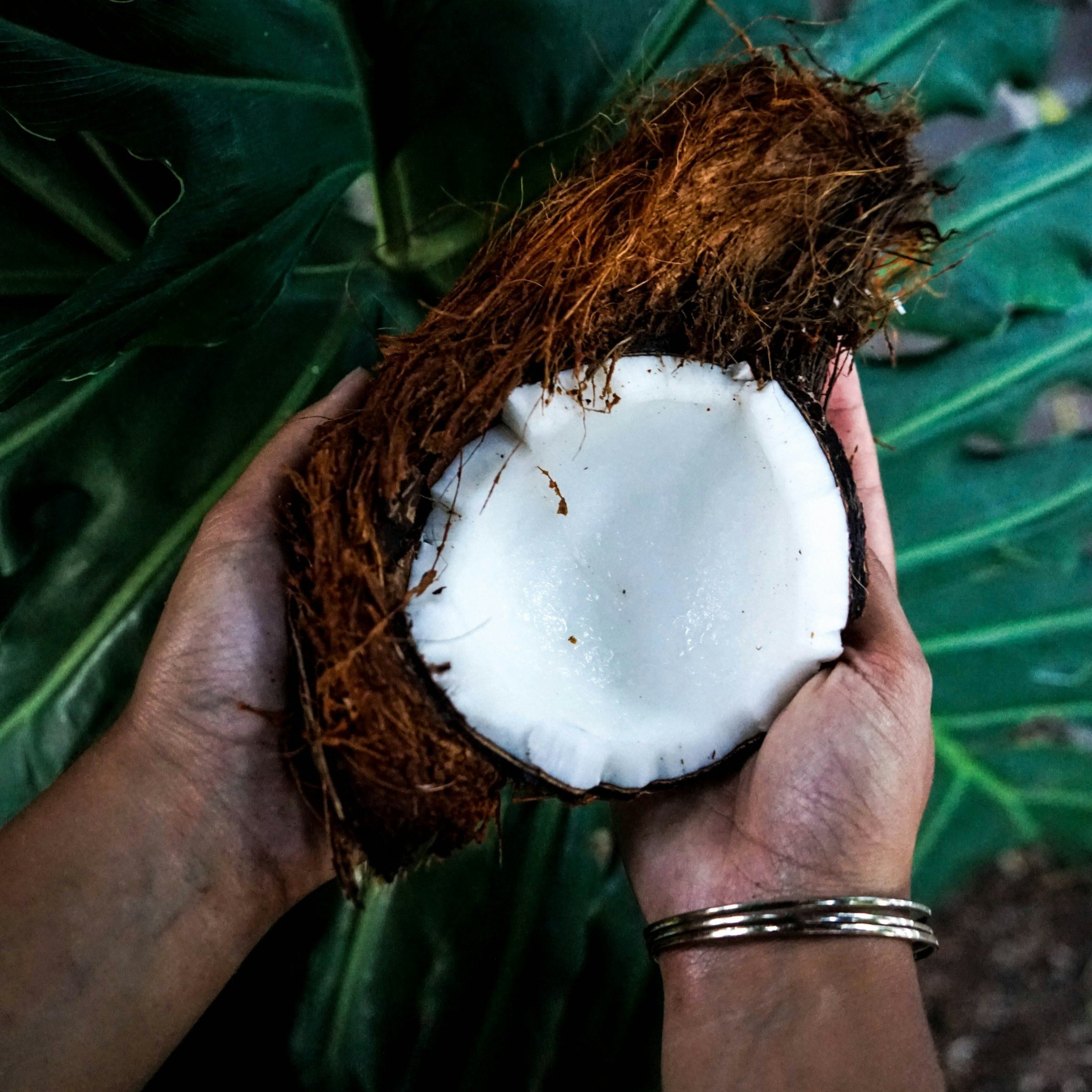 Sustainable agriculture and the opportunity for circular thinking