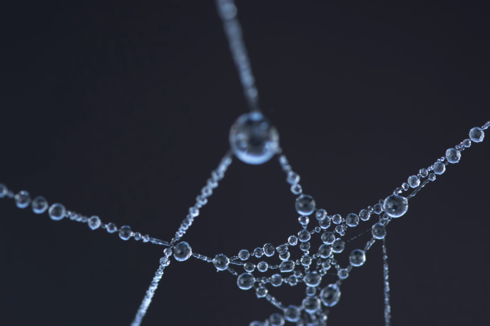 Cerafiltec Strengthens Strategic Partnership with SI Membranes