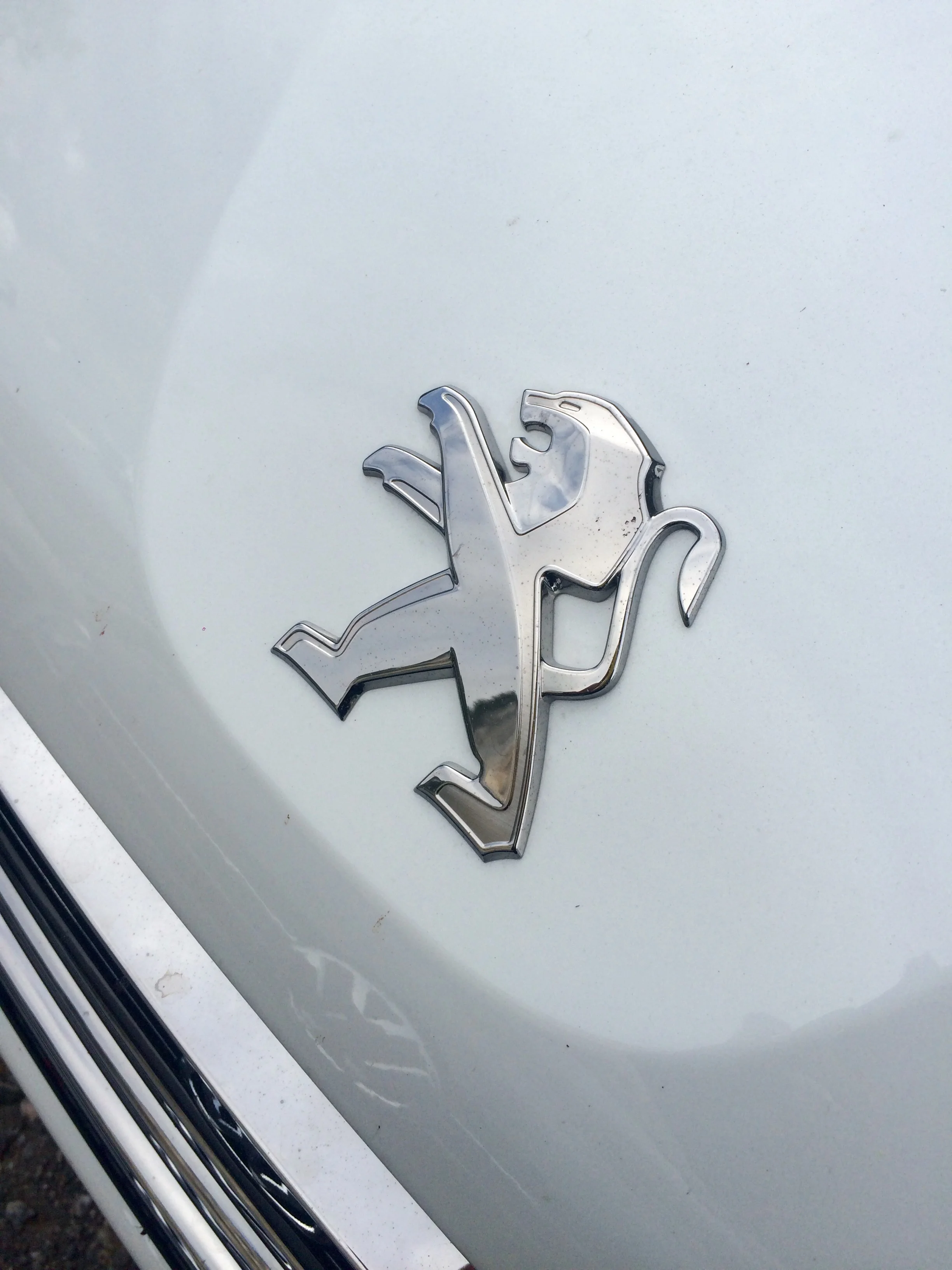 Love the logo so much....