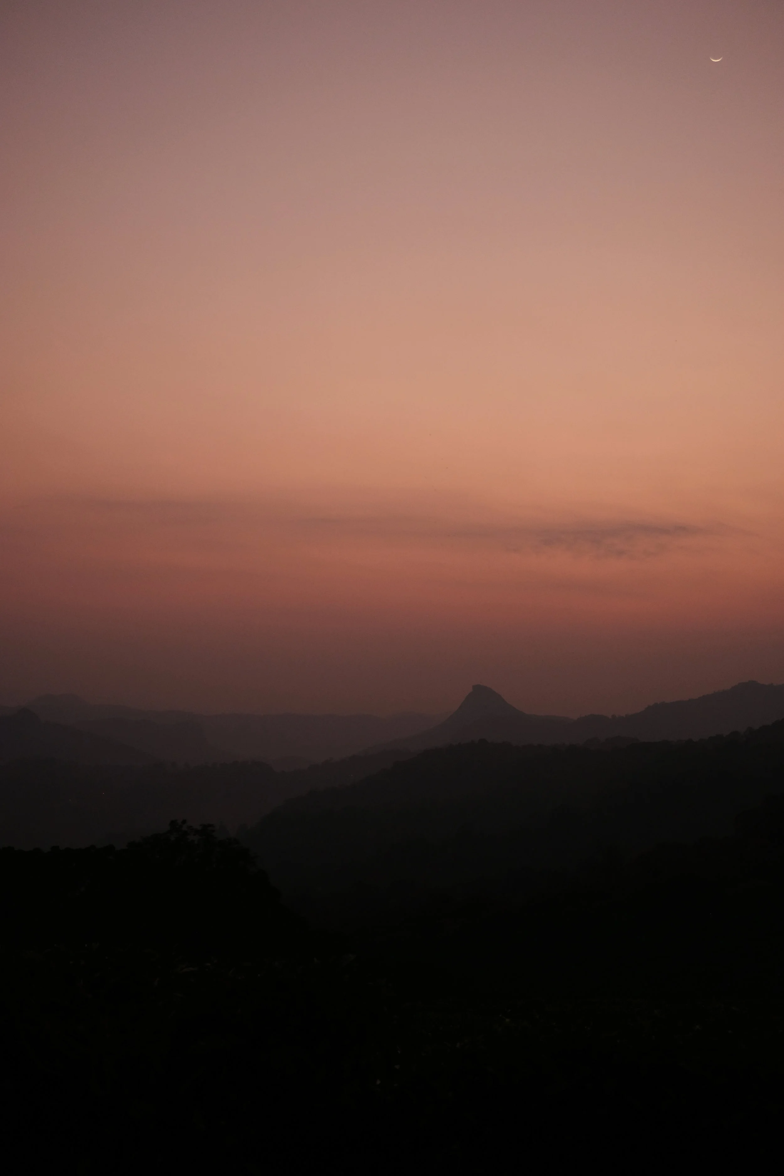 DSCF5875.jpg