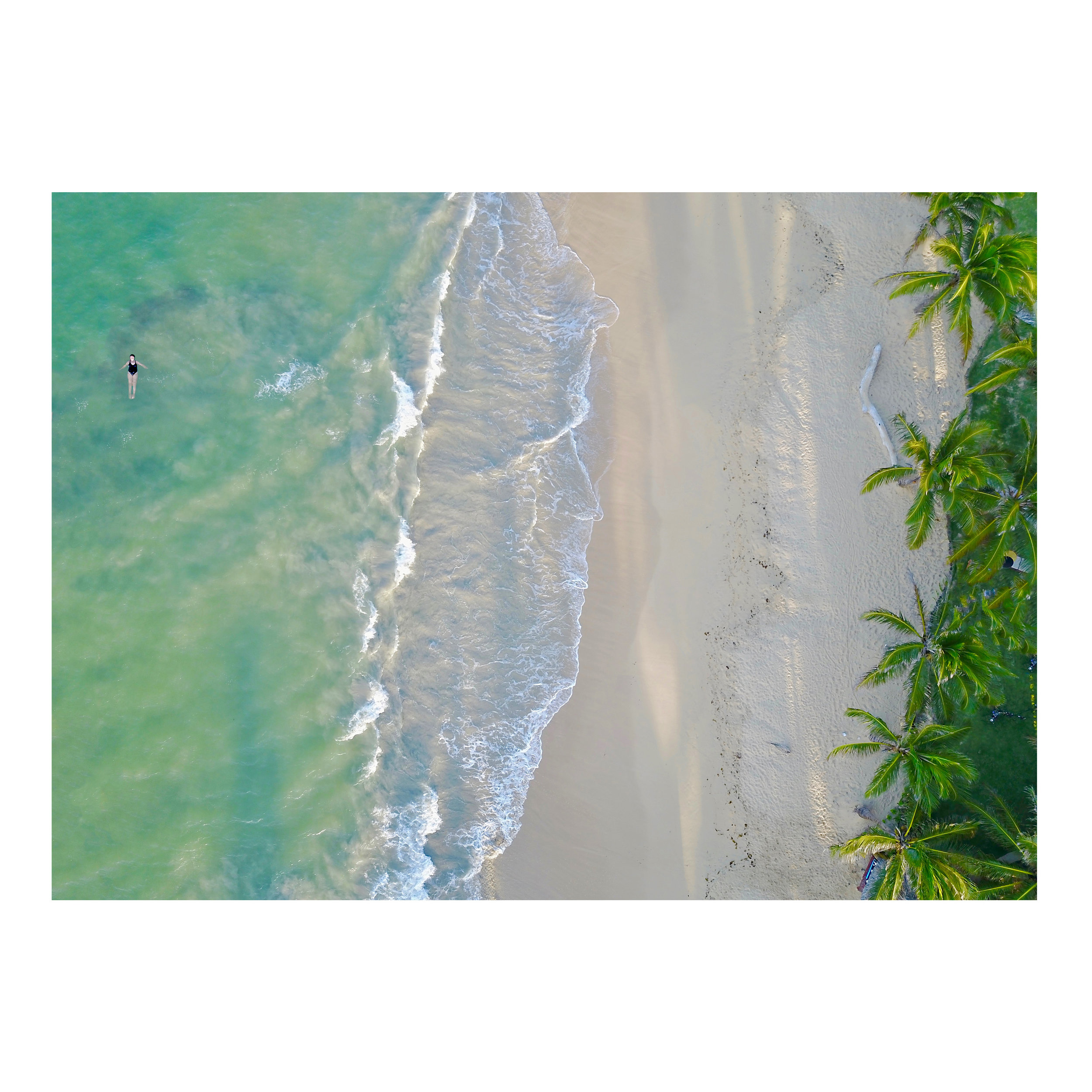 original_on8x8_domrep.jpg