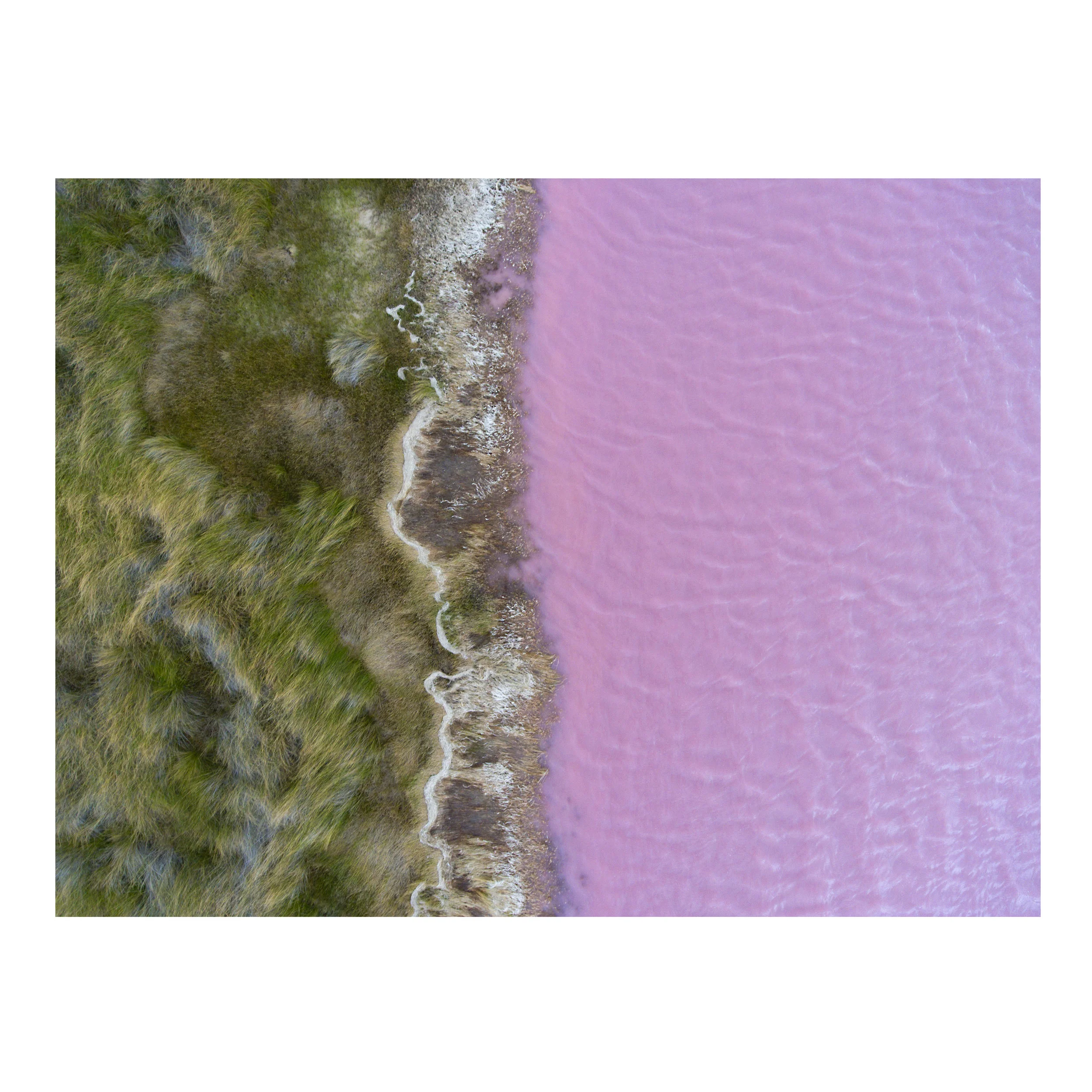 original_on8x8_pinklake.jpg