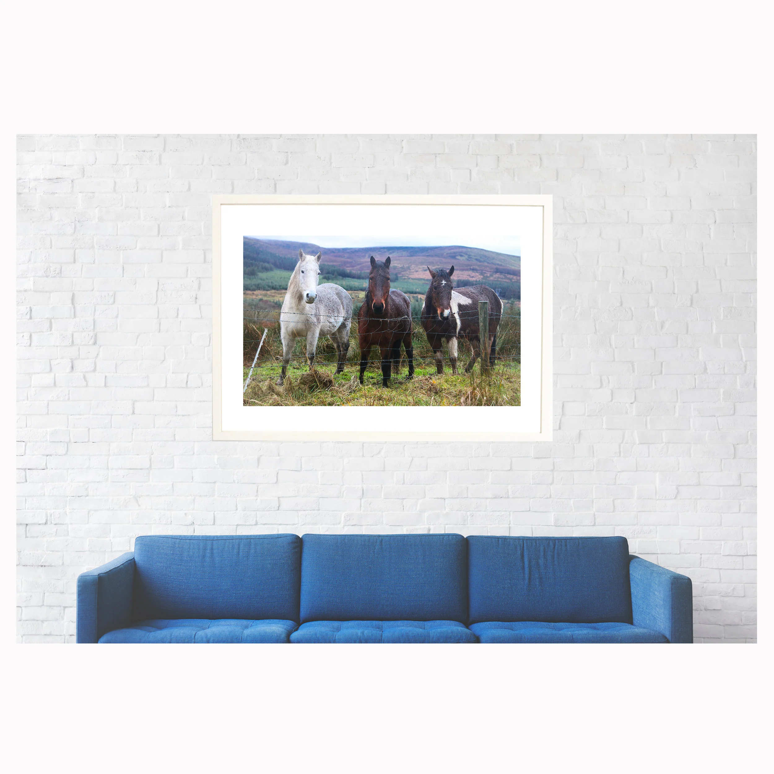 bluecouch_mockup_horses.jpg