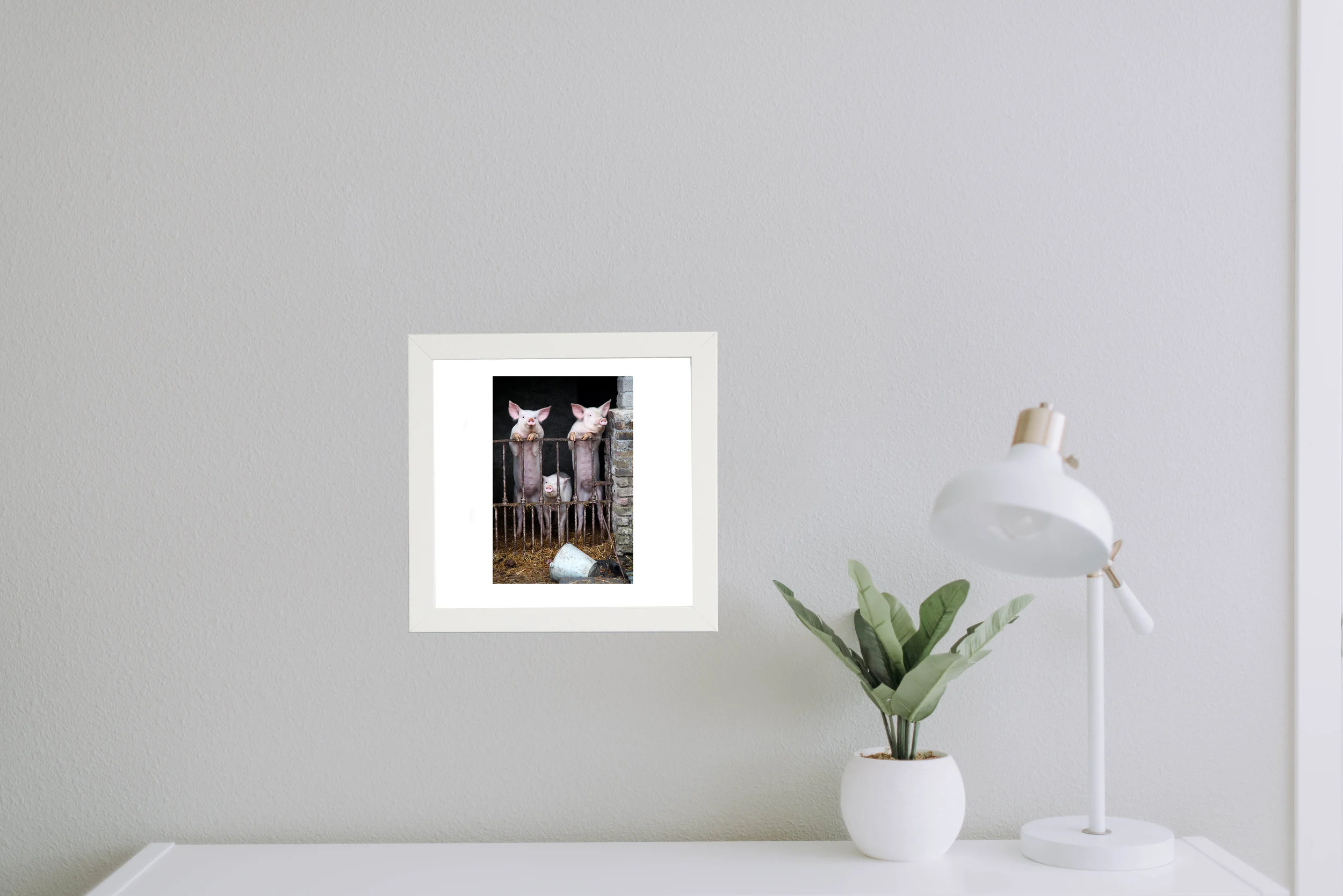 tabletop_mockup_pigs.jpg