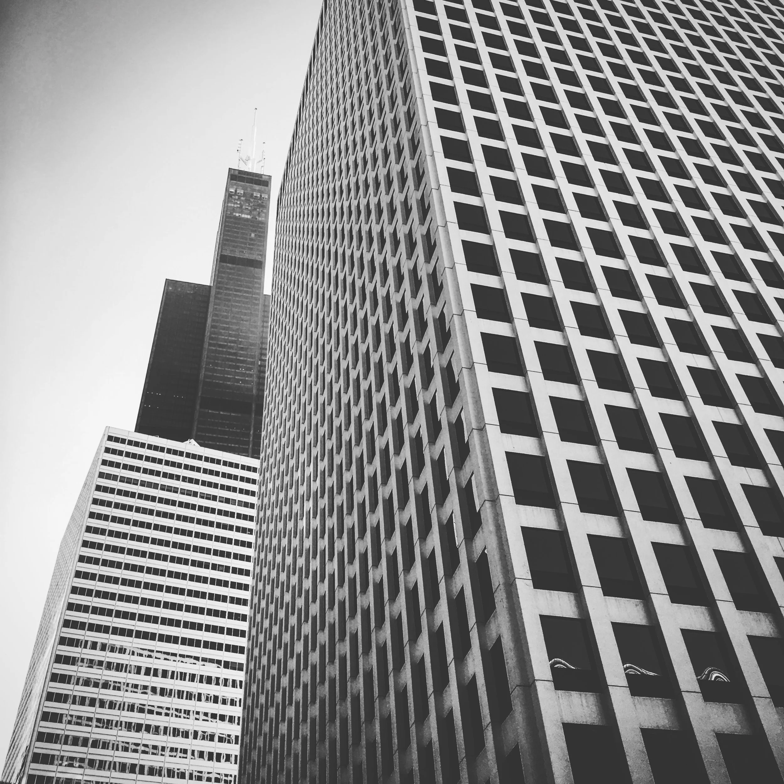 POSTED_sears lines.JPG