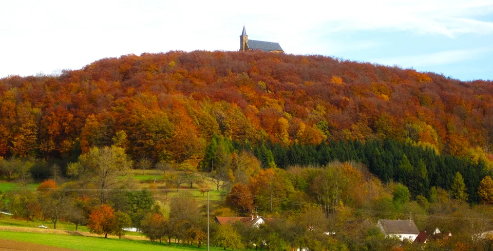 Fall Colors with a Castle