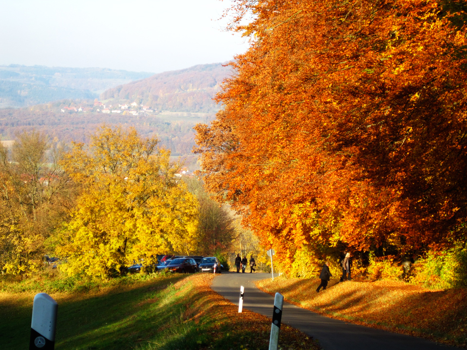 Fall colors along country roads