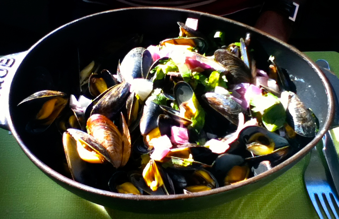 FHA_Slider4Mussels.jpg