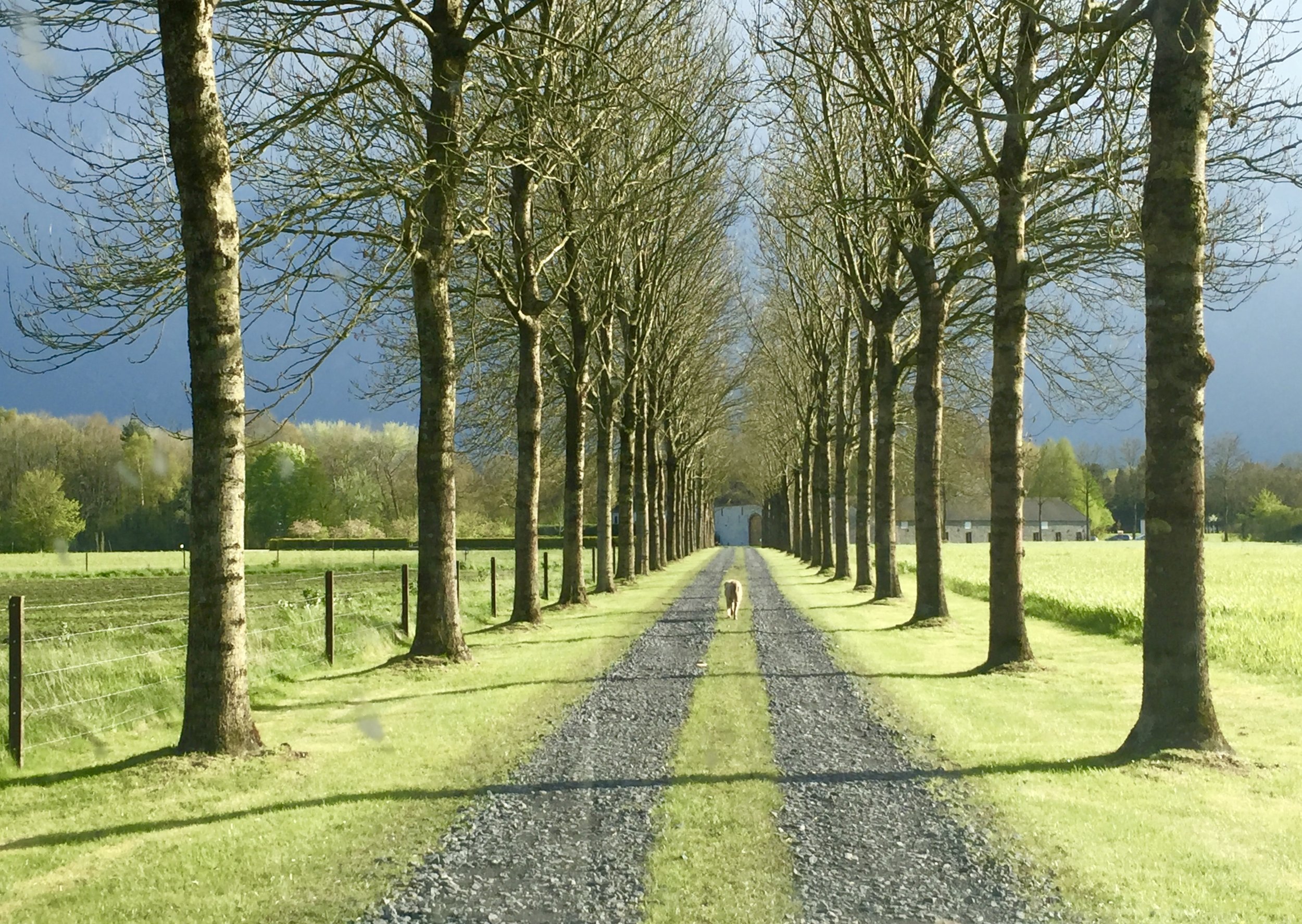   Scenery, history and beer    Backroads of Belgium    Get to know the less traveled roads of Belgium.  