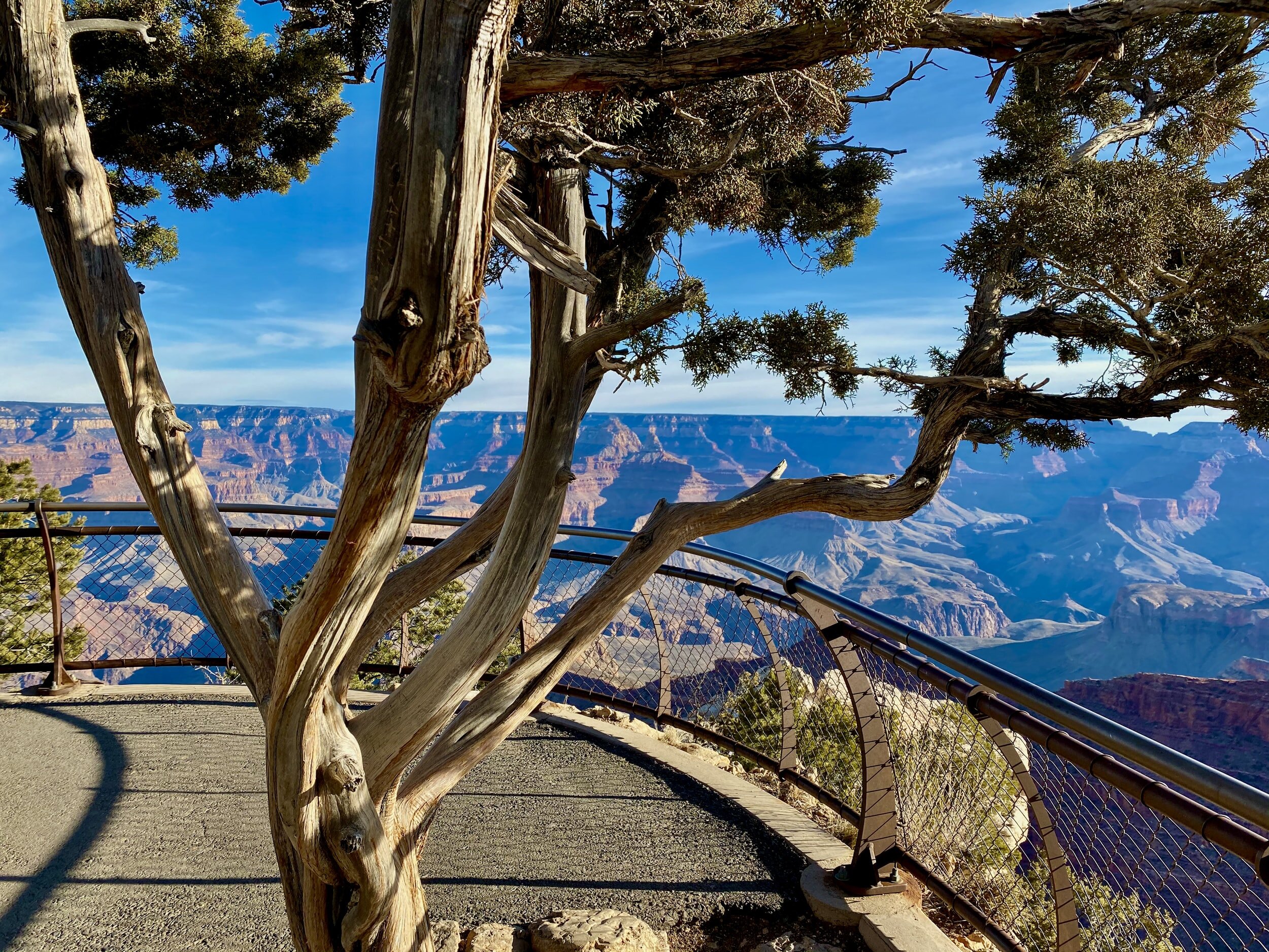   A guided tour of    Grand Canyon    Forged by Time Itself.  