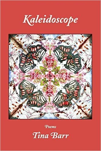 Dorothy Chan Reviews Tina Barr’s Kaleidoscope