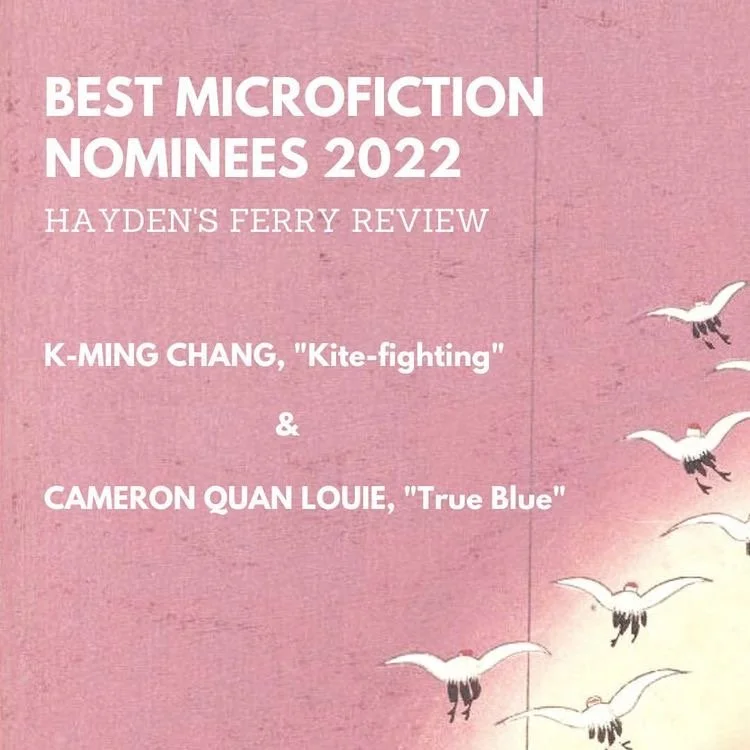 HFR's Best Microfiction Nominees