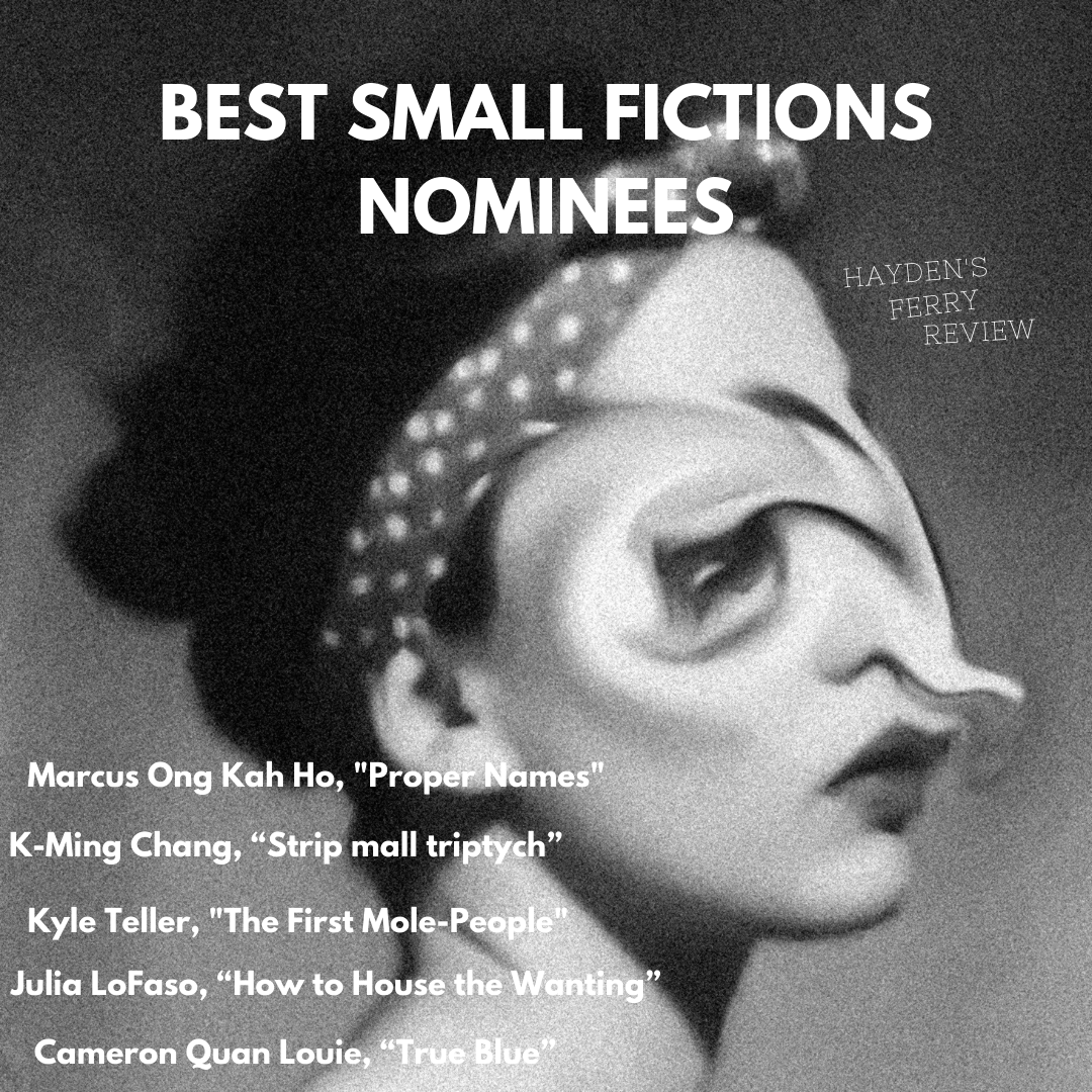 HFR's Best Small Fictions Nominees