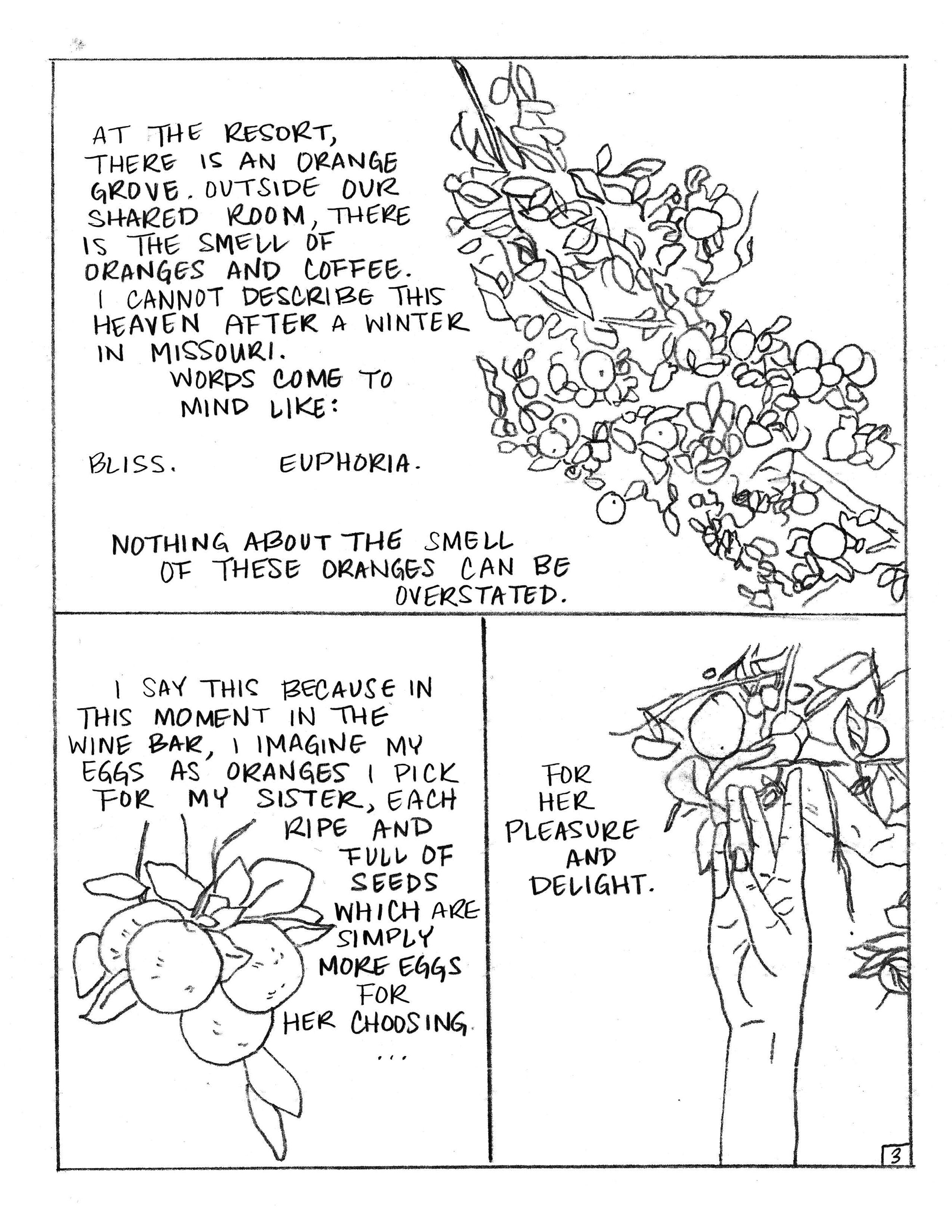 Murvin_Fertile_Graphic_Essay page 3 JPEG.jpg