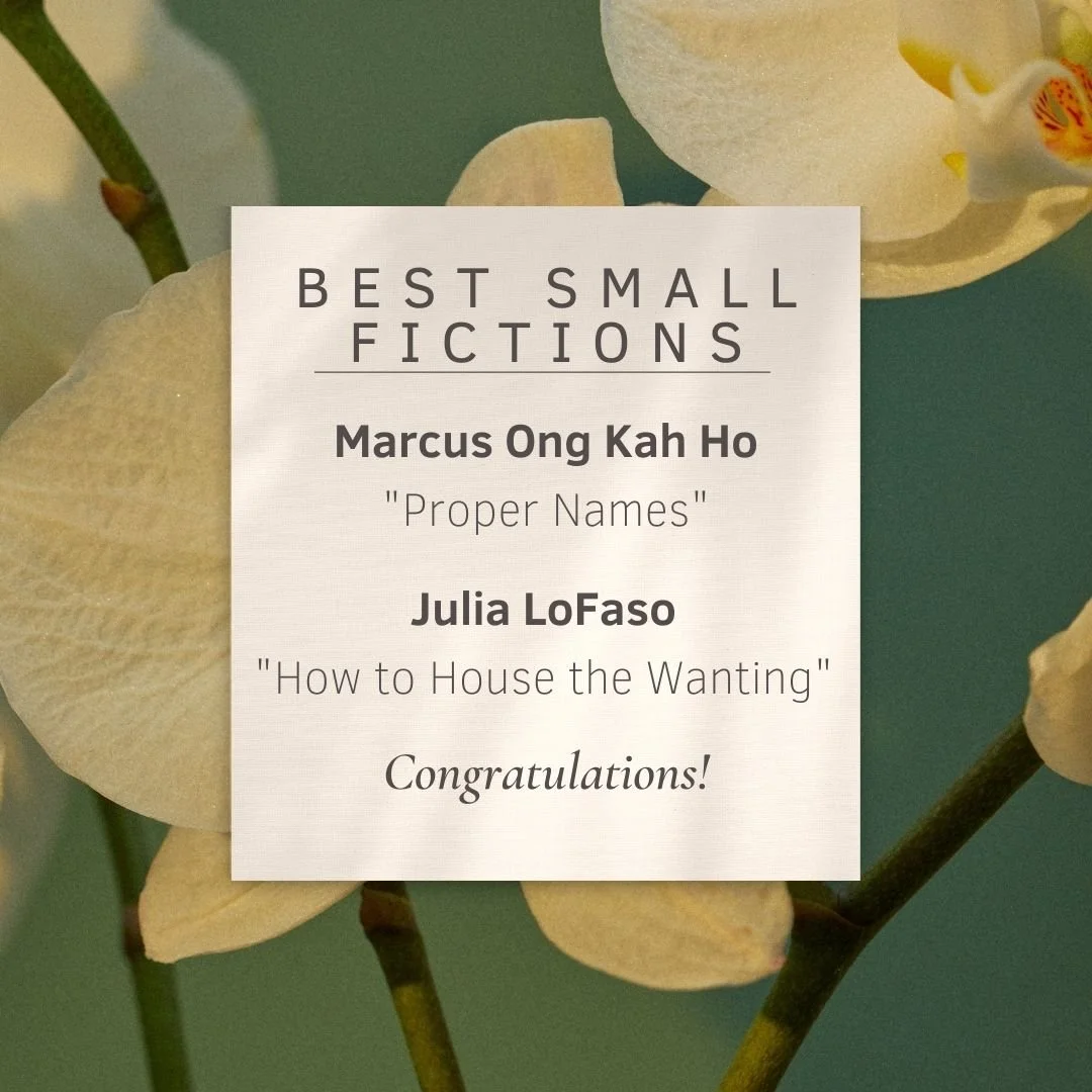 Best Small Fictions Selections Announced!