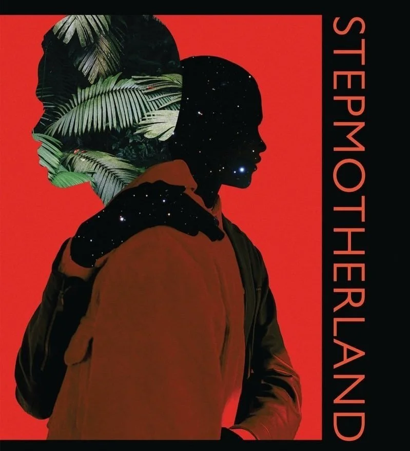 Raquel Gutiérrez Reviews Darrel Alejandro Holnes' Stepmotherland