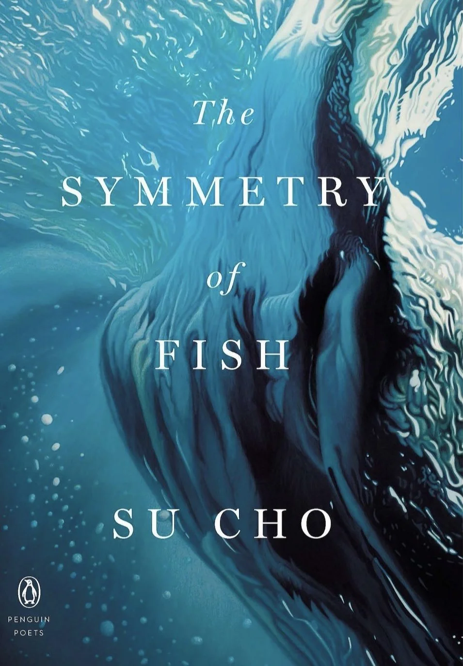 Móni Garcia Reviews Su Cho's The Symmetry of Fish