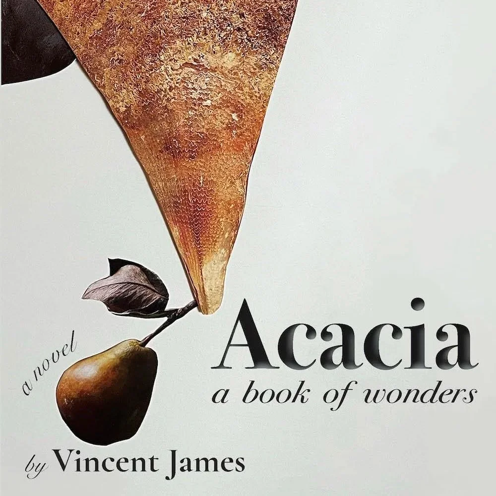 Ashley Cameron Interviews Vincent James