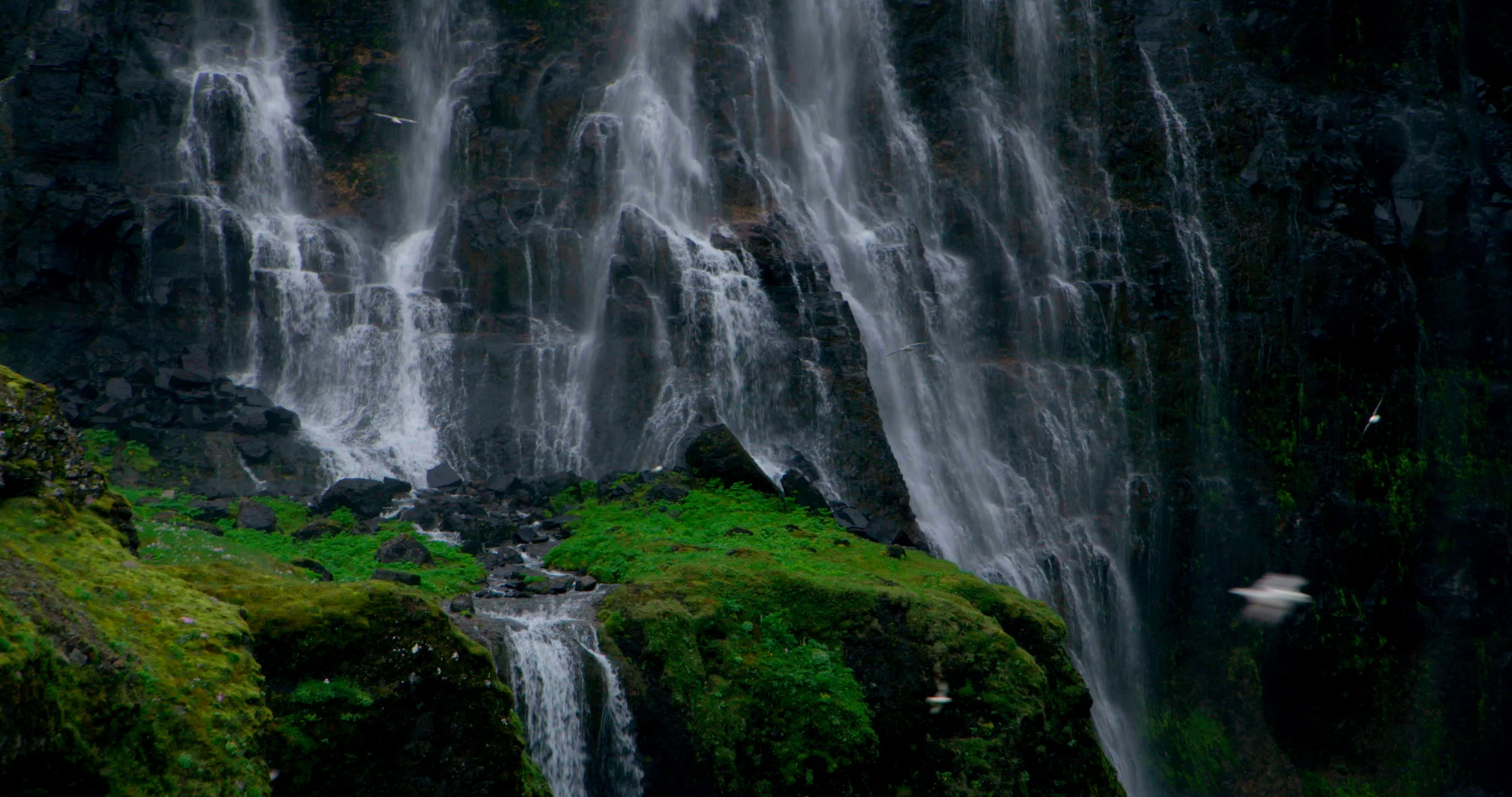 BitTorrent Bundle: Now Distributing Films In 4K