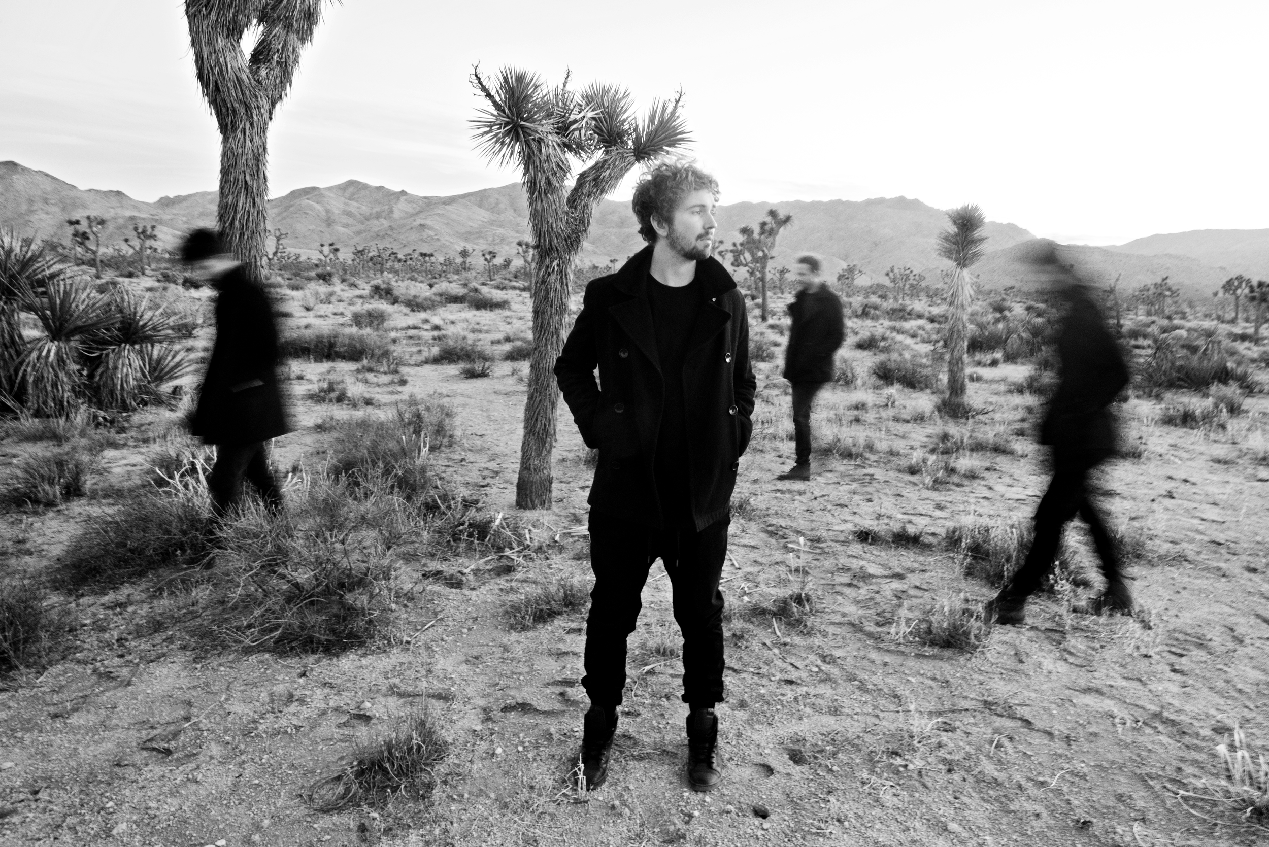 Staff Picks: The Moth and the Flame 