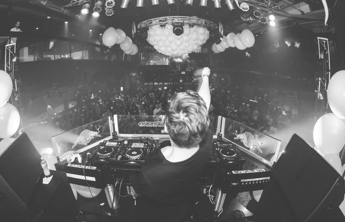 Staff Picks: February 2016 Edition