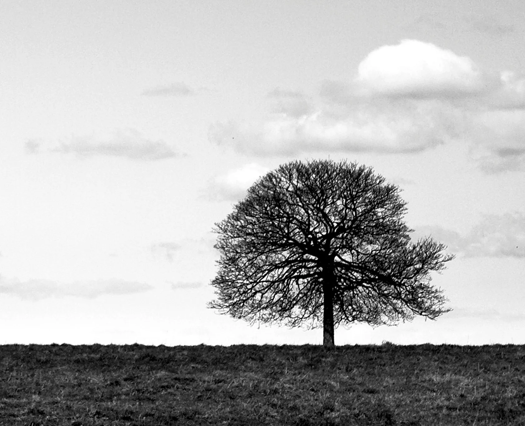 What is Compassion Fatigue?