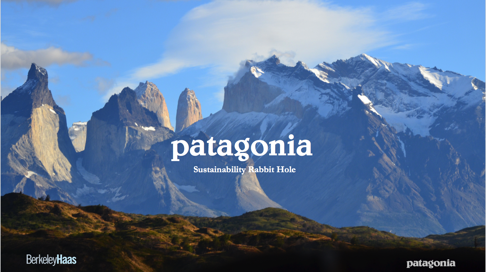Patagonia
