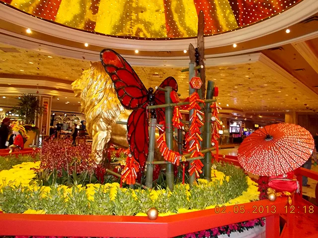 mgm_install_back.jpg