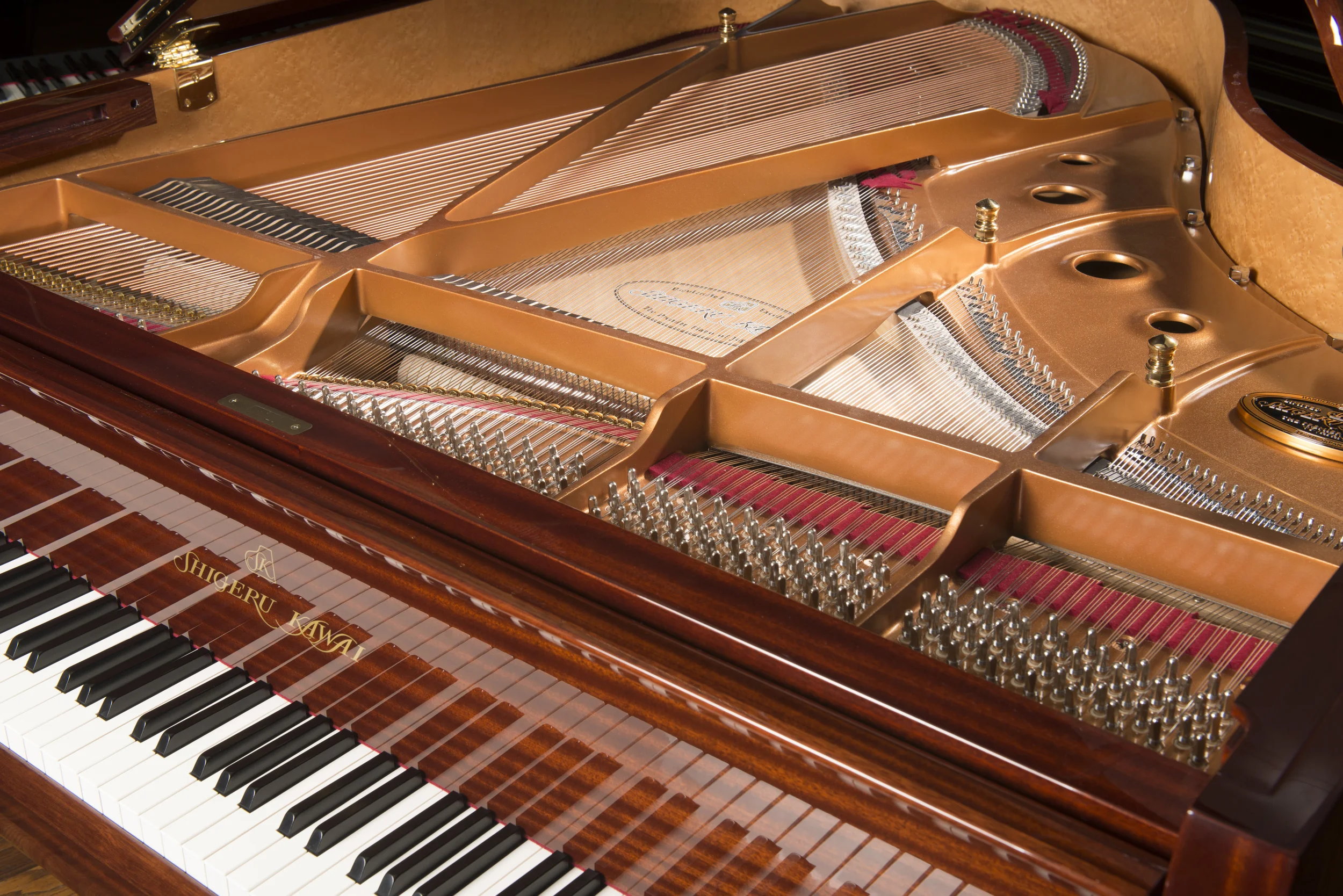 Simply Grand Pianos / Geogetown, IN / Direct Mail Brochure