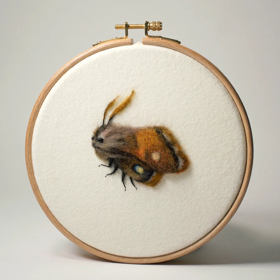 Moth.jpg