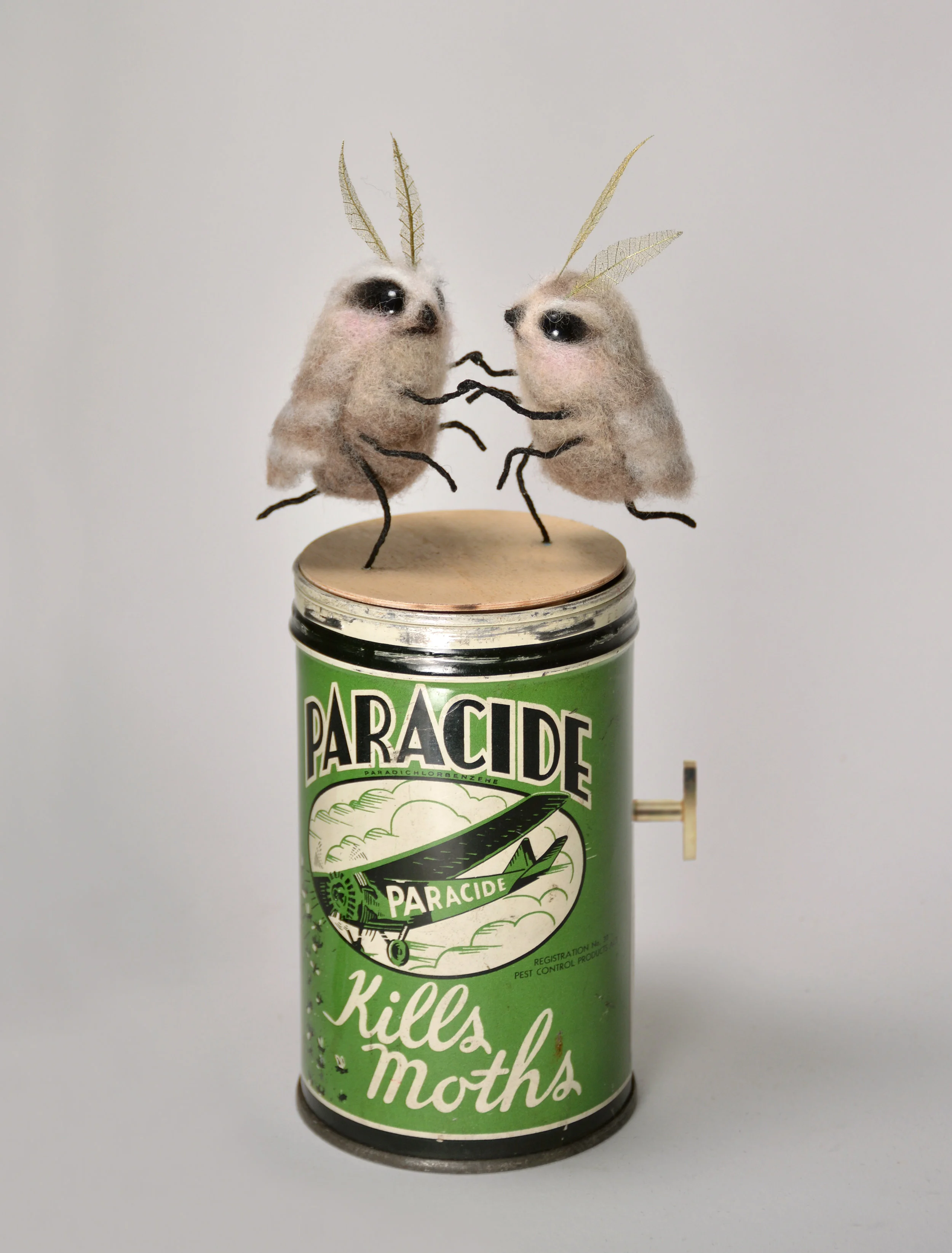 Moth_musicbox.jpg
