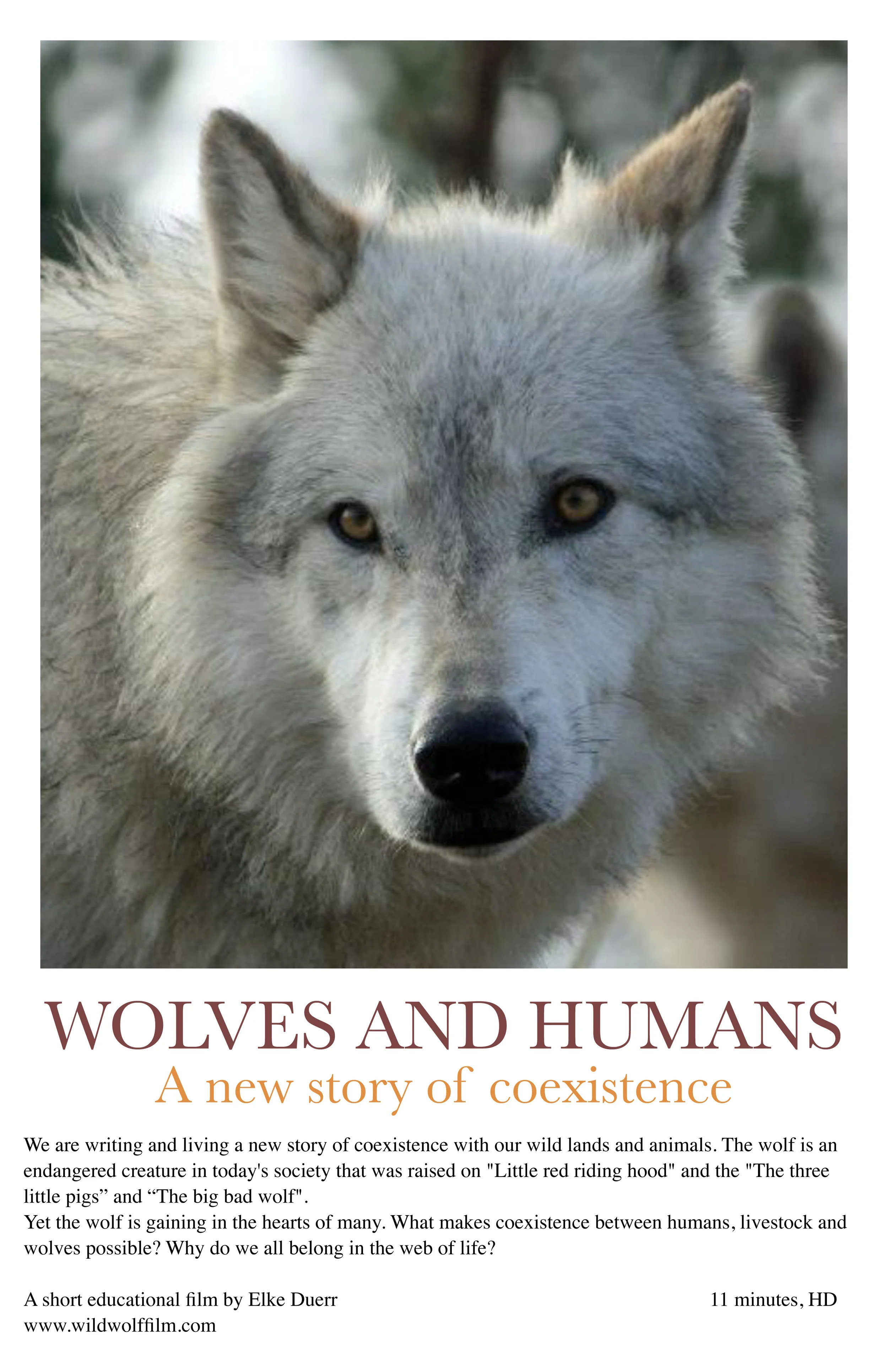 Wolves and Humans - a new story of coexistence