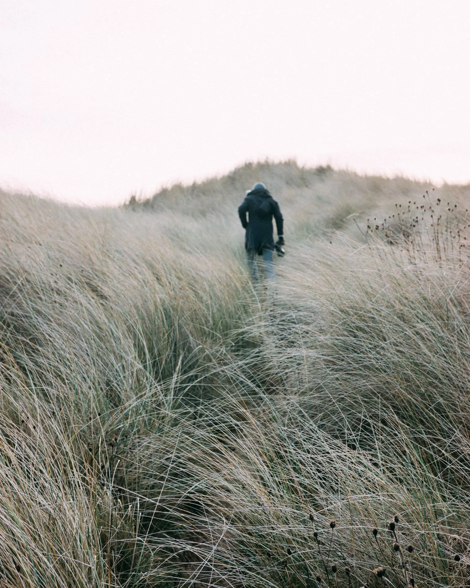 Photo by Katie Ailes