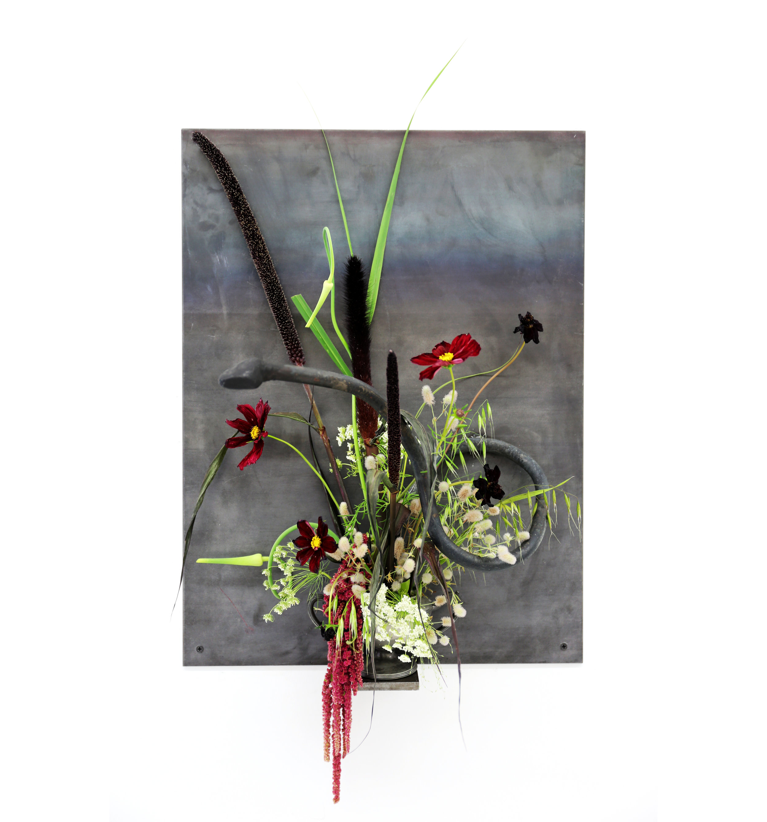 Speaking in Tongues, in collaboration with Micah Rosenblatt and Alex Crowder 18"x24", Cold Rolled torch bent solid steel, hot rolled 1/4" steel plate, Chocolate Scabiosa, Queen Anne's Lace, Sea oat Grass, Amaranthus, Snake Alium Onion, Cat Tail, family heirloom vessel