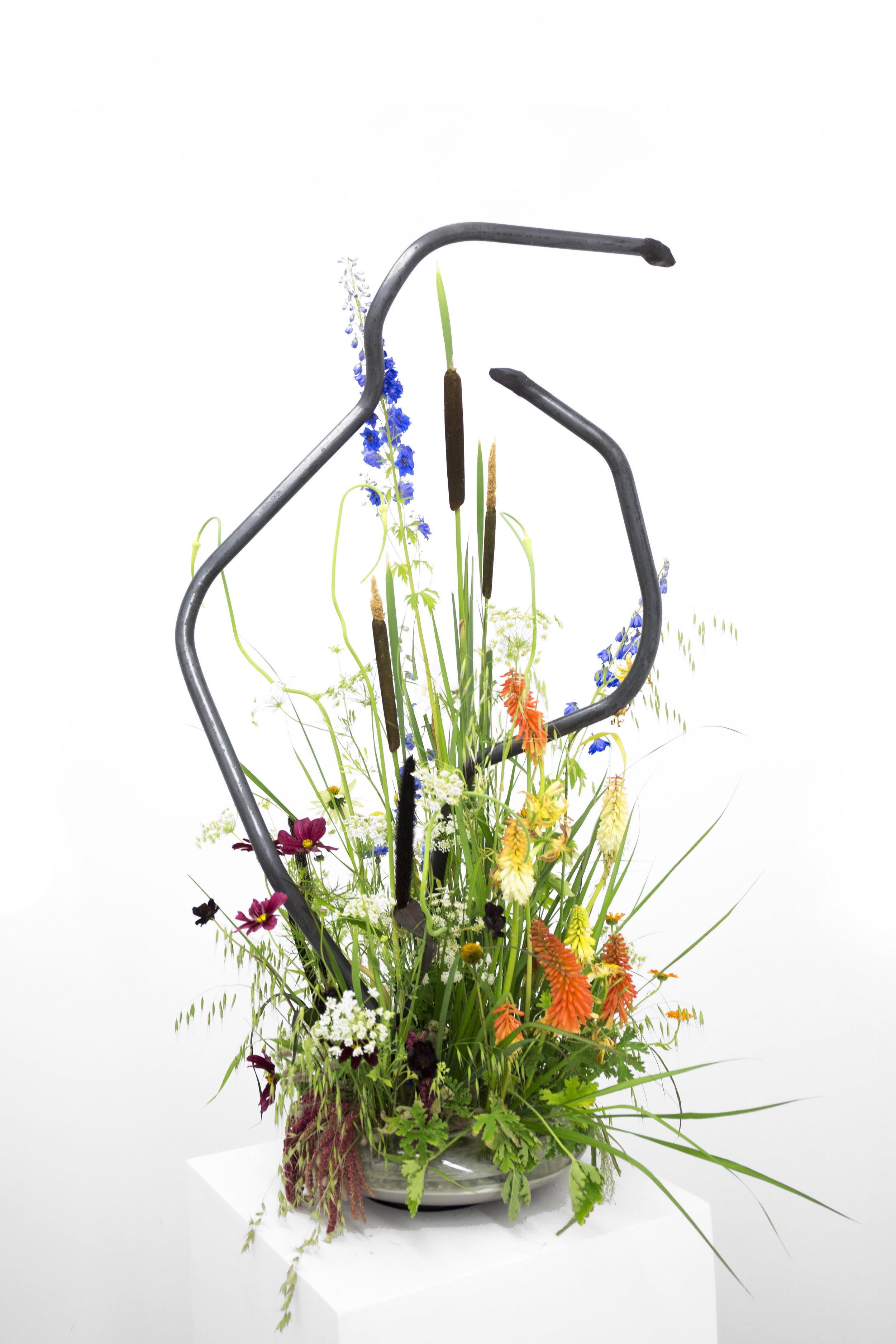 Mating Dance, in collaboration with Micah Rosenblatt and Alex Crowder 55"x 30" Cold Rolled Solid Steel, Glass, Rotating Motor, Cement, Delphinium, Queen Anne's Lace, Cat Tail, Sea Oat Grass, Chocolate Scabiosa, White Nigella, Amaranthus, Geranium leaf, Muscarui, Lilly, Corn Flower, Snake Alium Onion, 