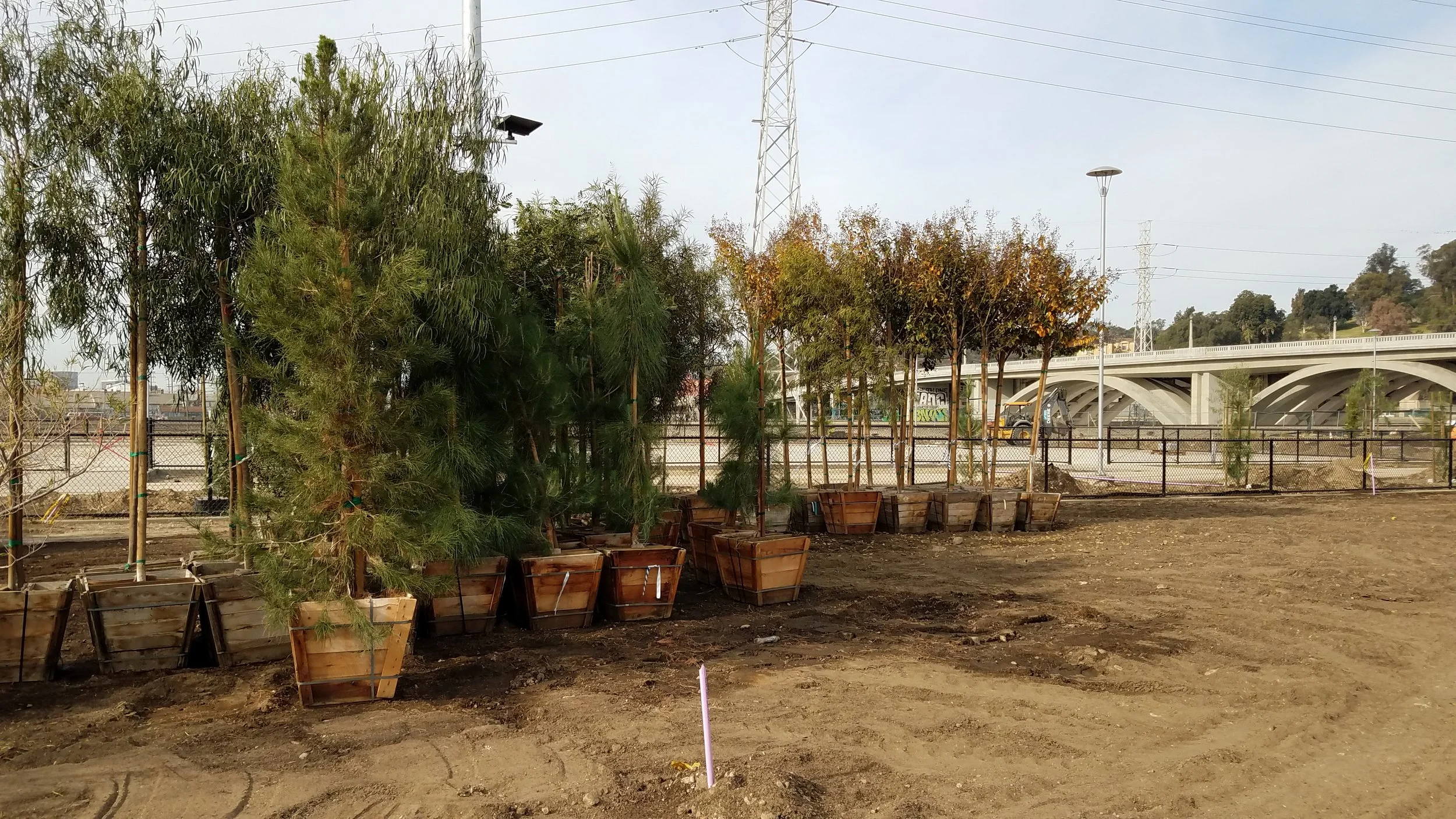 20181119_093259.jpg