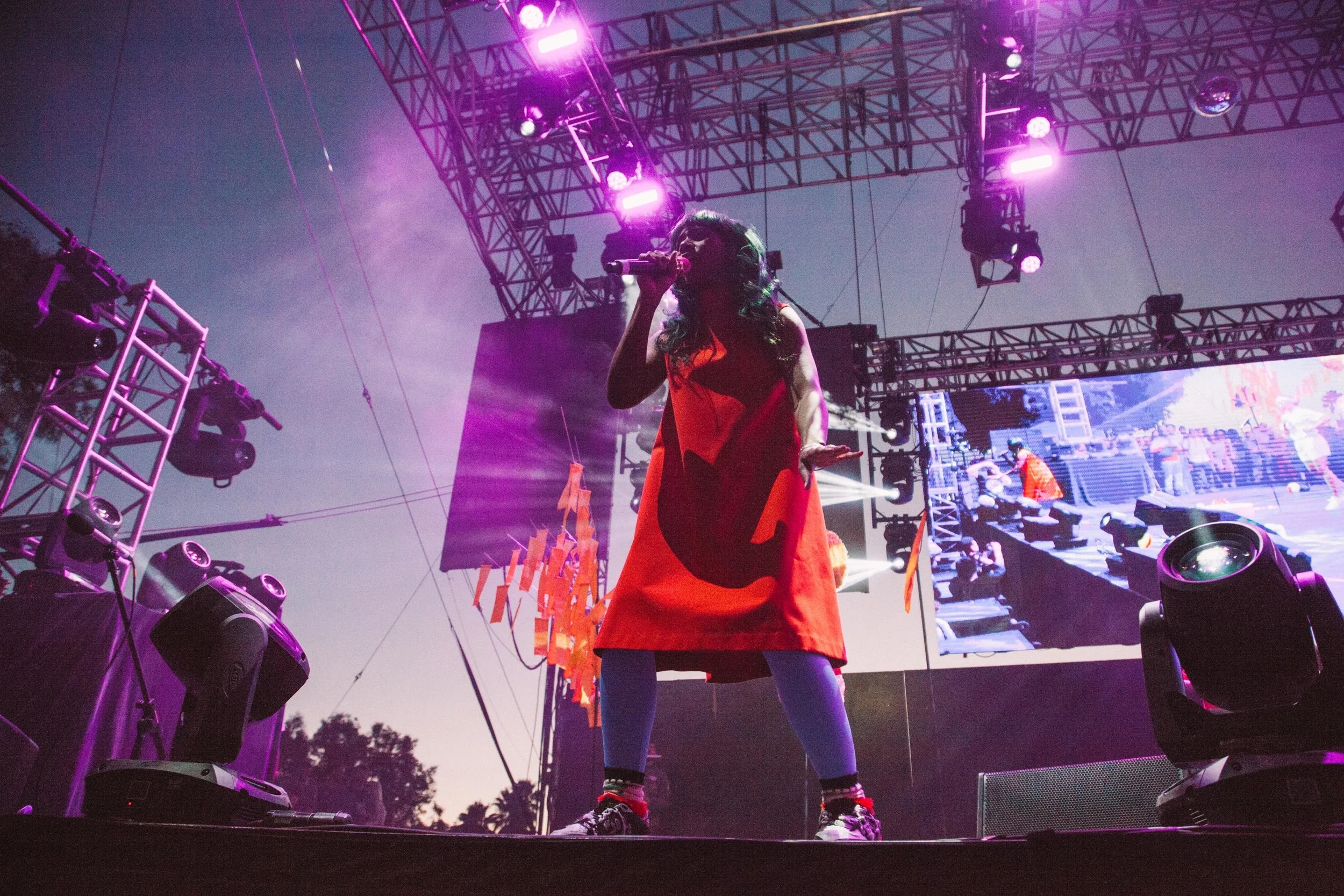 Santigold