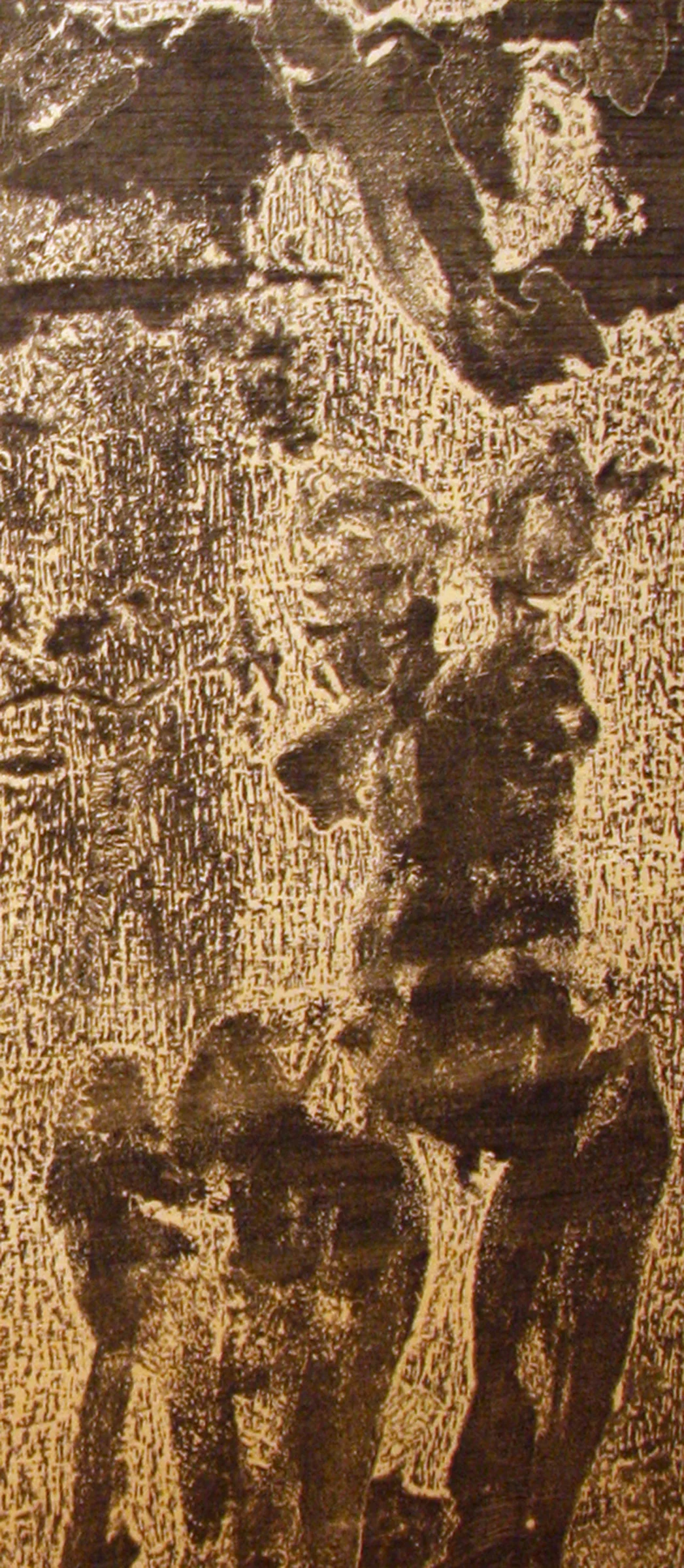 Radial (detail)