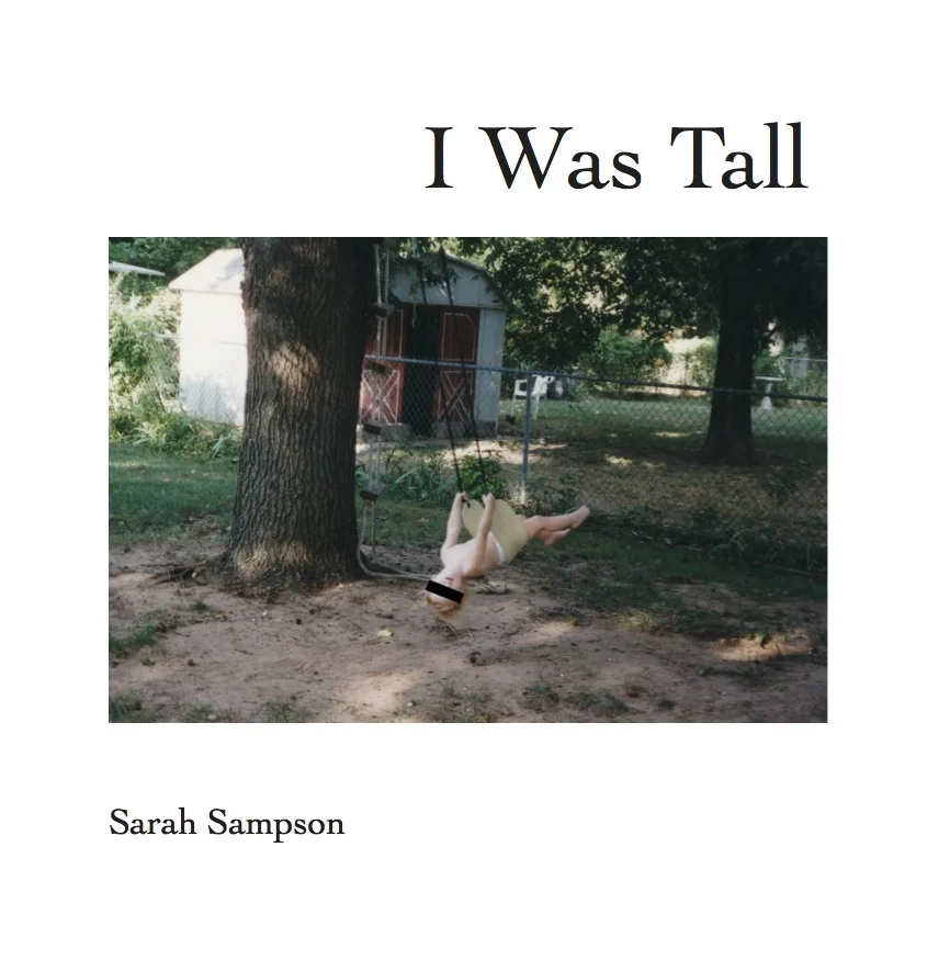 Sampson_Cover_iwastall.jpg