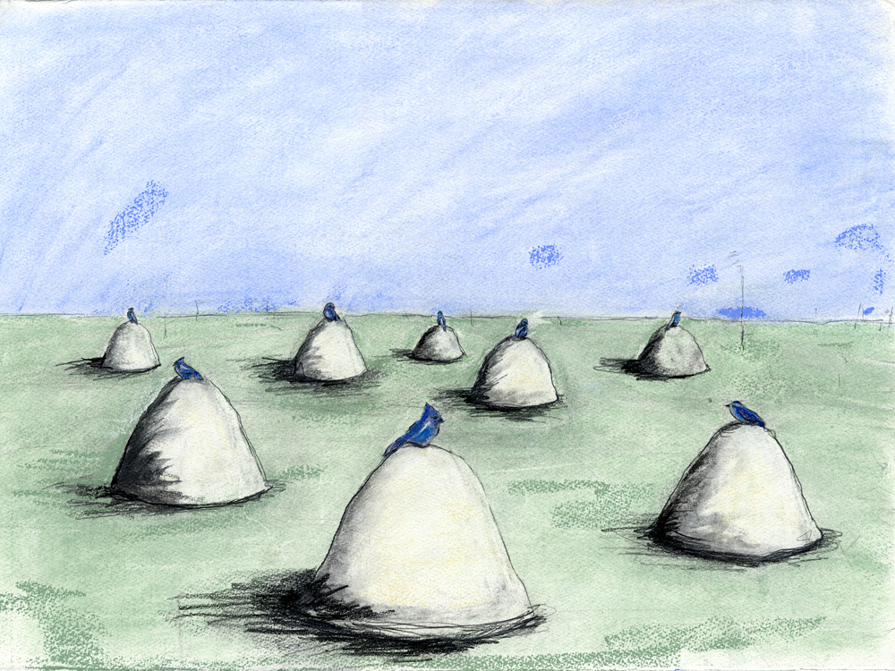 Bird Mounds , 2007 Watercolor and Pastel, On Paper 12 x 15 in. (30.48 x 38.1 cm)
