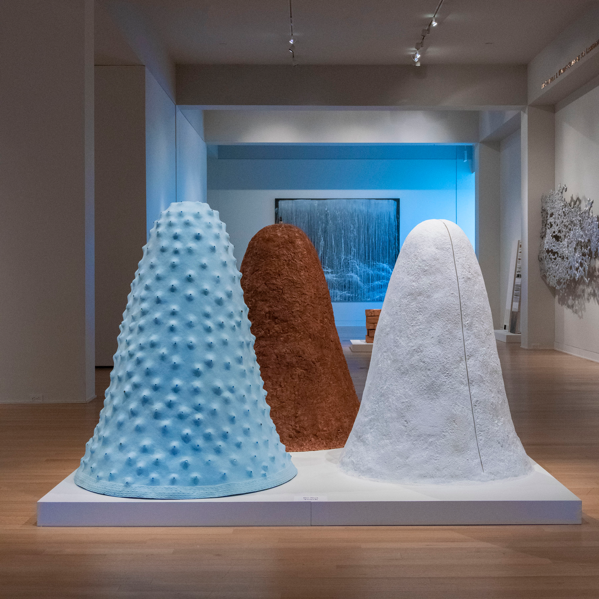 Jennifer Odem Ear to the Ground: Earth and Element in Contemporary Art , 2019 Installation view Image courtesy: New Orleans Museum of Art, New Orleans, Louisiana