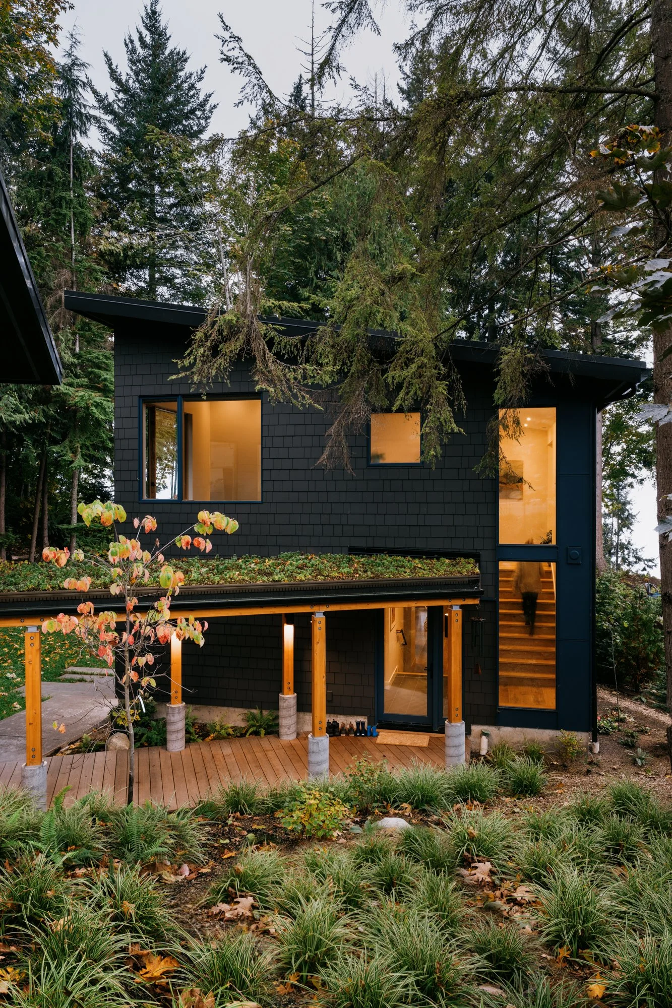 Pacific northwest home, green roof, entry,outdoor living,  home in the trees