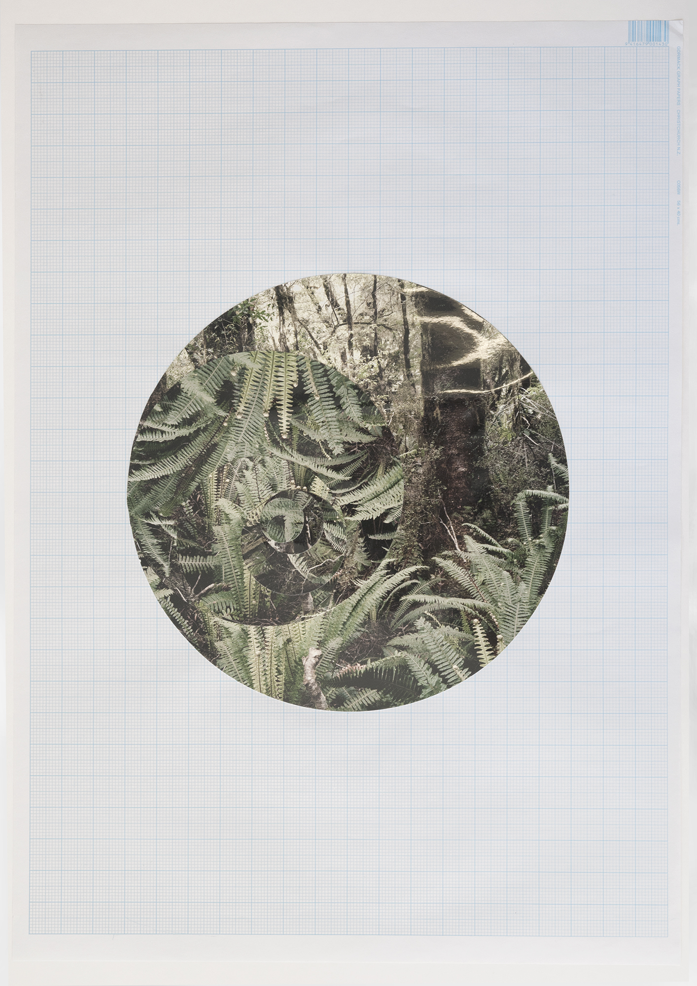   Fibonacci collage #4 , 2014 Chromogenic print on graph paper (unique print) 56 x 40cm 