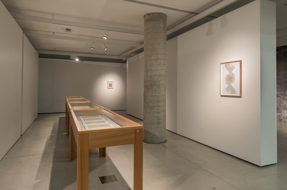 Blue Distance , installation view, UTS Gallery, Sydney Every odd page from a nineteenth century photo album , 2014, pigment prints on photo rag, series of 21, 30.5 x 38 cm each Fibonacci collage #5, 2014, acrylic photo silk-screen on graph paper (unique print), 56 x 40cm. Photo: David Lawrey