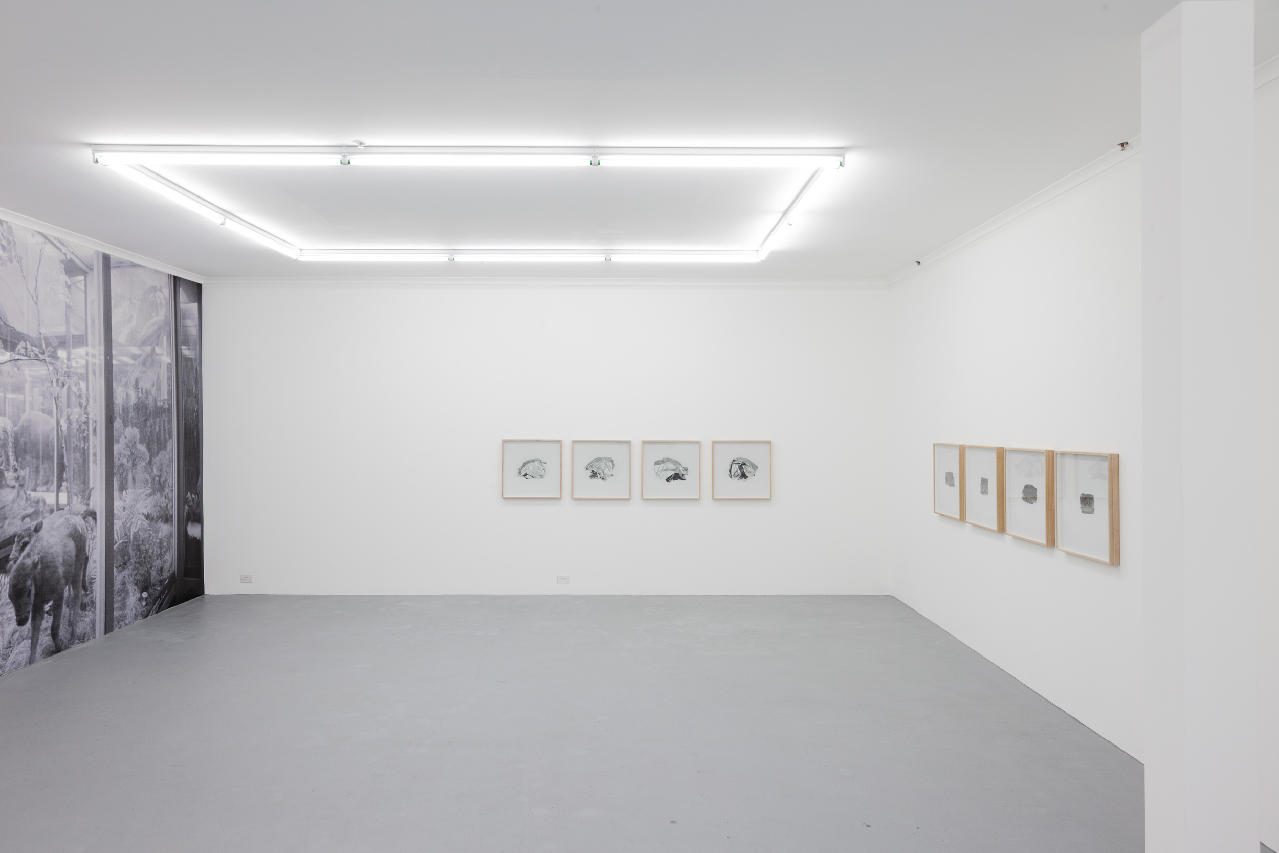    Agency of inanimate objects     2014  installation view 