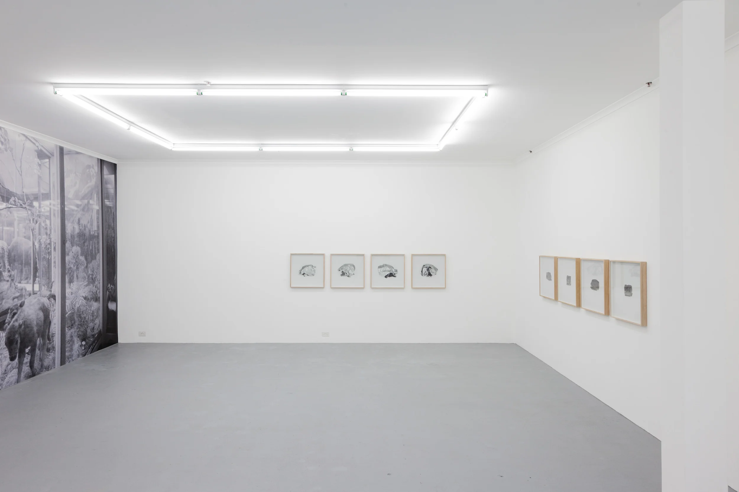   Agency of inanimate objects ,&nbsp;installation view, Galerie pompom, Sydney photo: docQment 