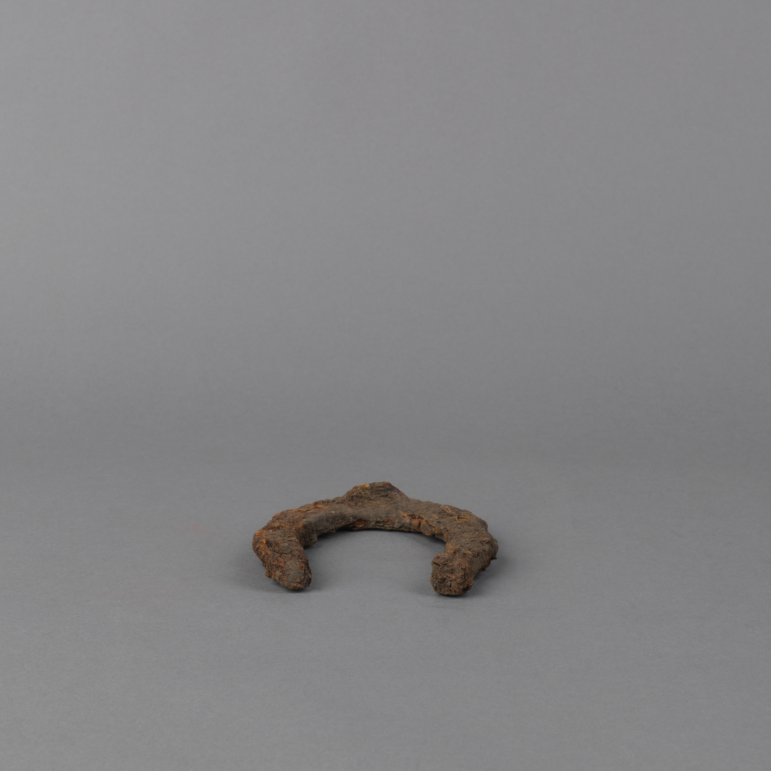    Horseshoe&nbsp;(found in garden dig, Wickham NSW September 2010)&nbsp;  2011  chromogenic print 66 x 66 cm 