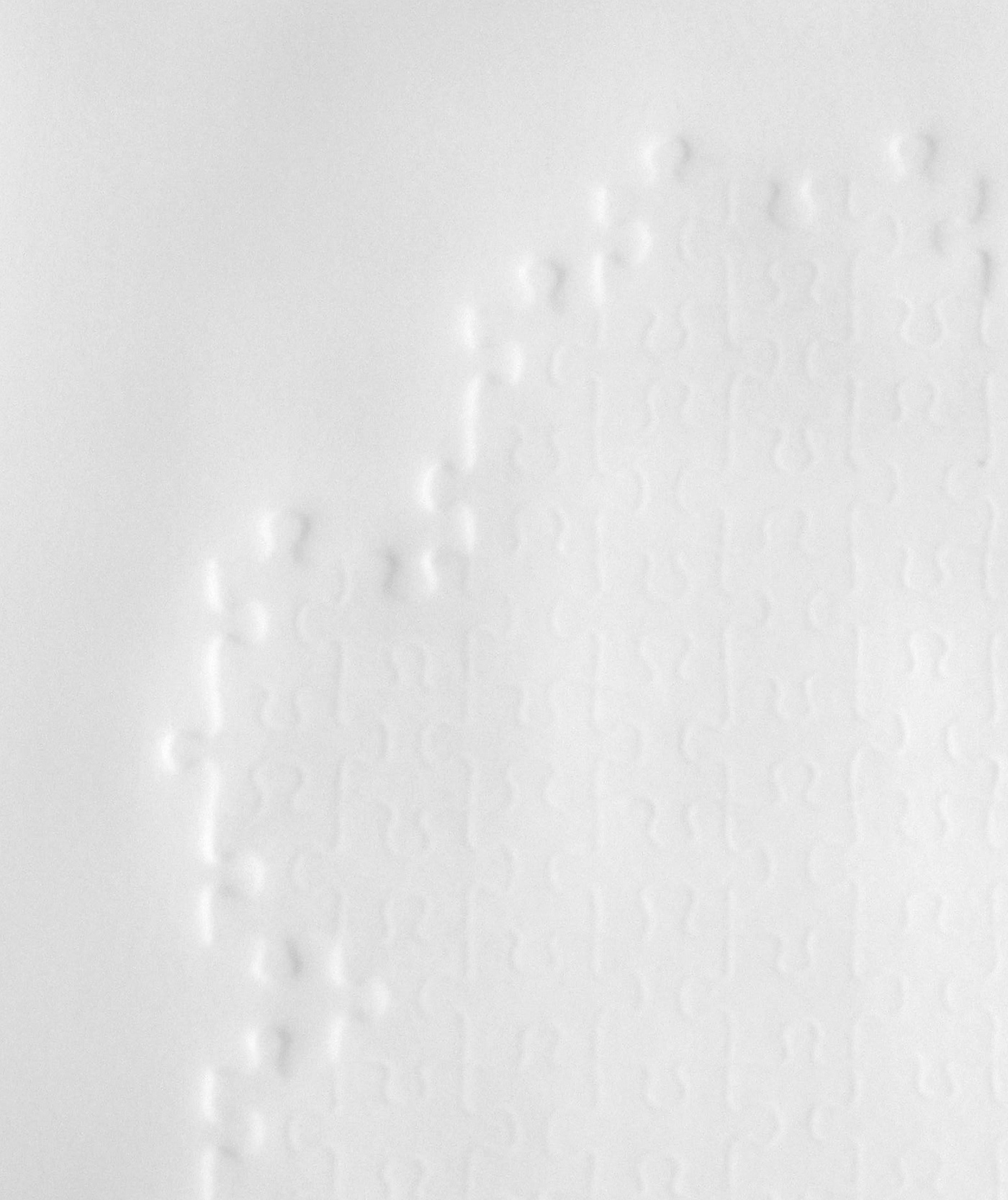   Puzzle 1 &nbsp;(detail)&nbsp;2011 &nbsp; embossed Arches paper&nbsp; 42 x 29.7 each 