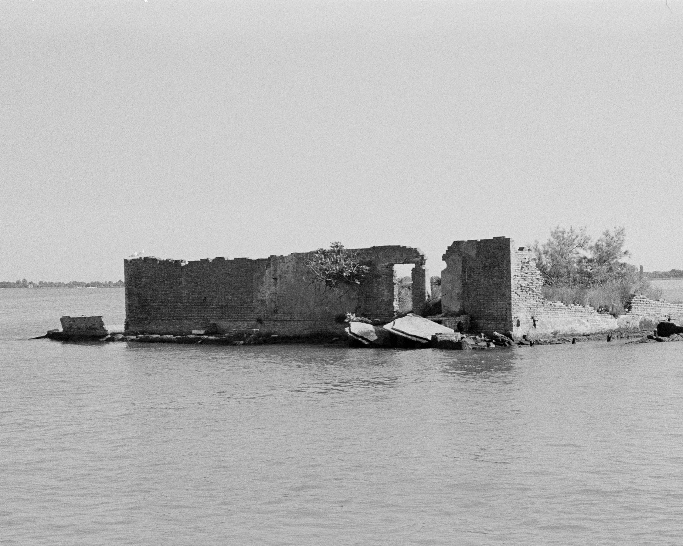 veniceisland copy.jpg